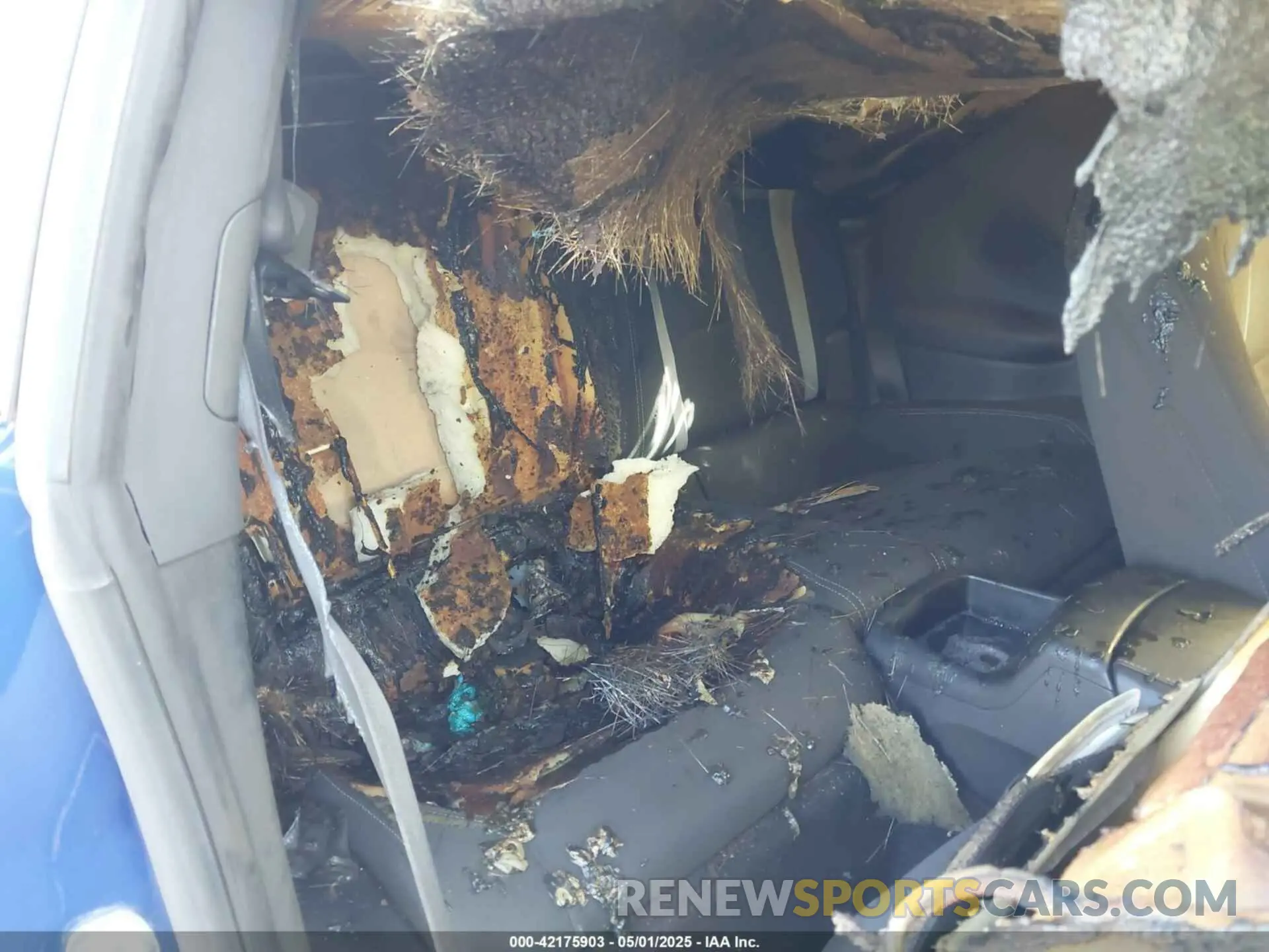 8 Photograph of a damaged car 1G1FB1RX0K0113565 CHEVROLET CAMARO 2019