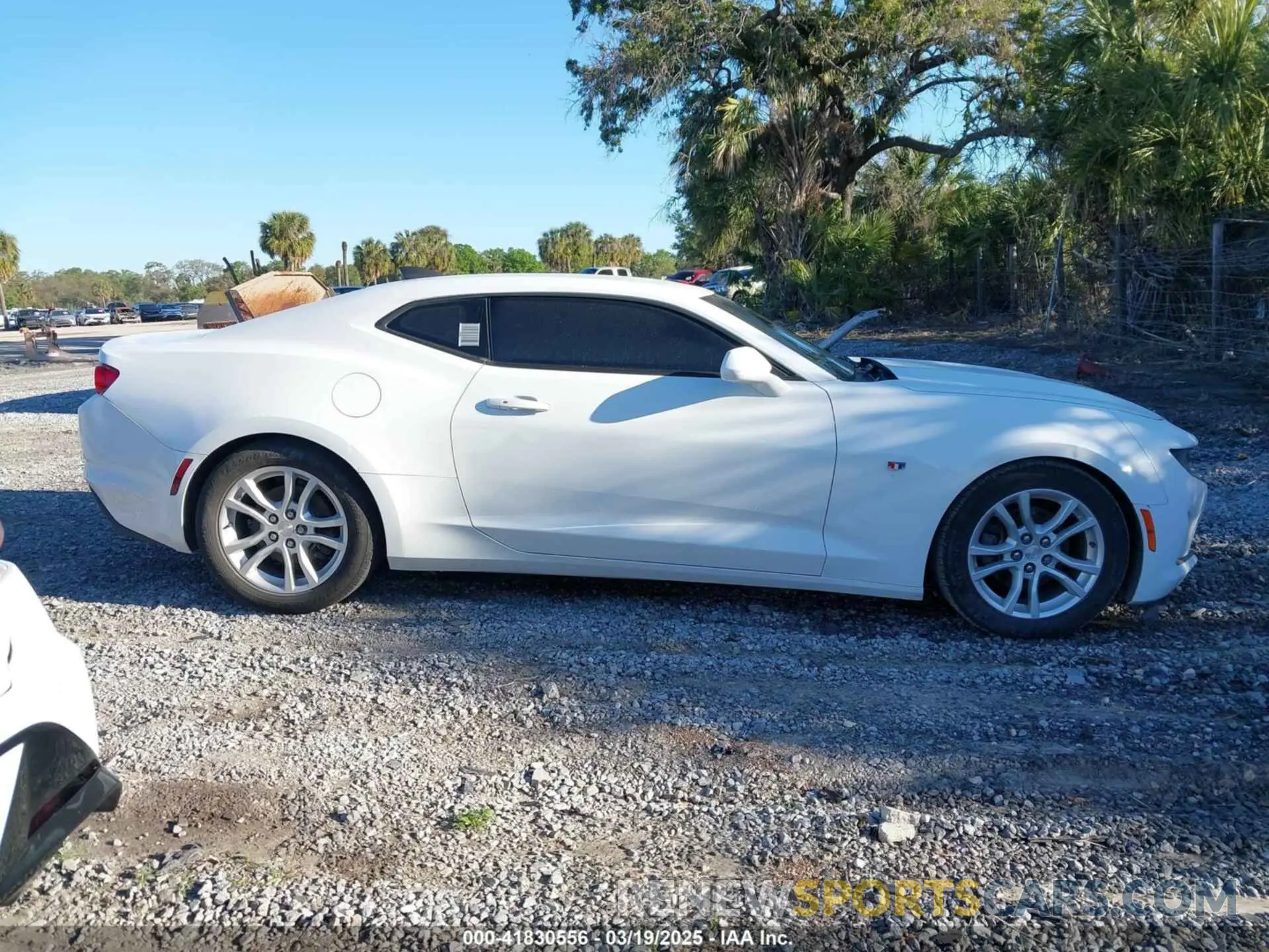 13 Photograph of a damaged car 1G1FB1RX3K0125712 CHEVROLET CAMARO 2019