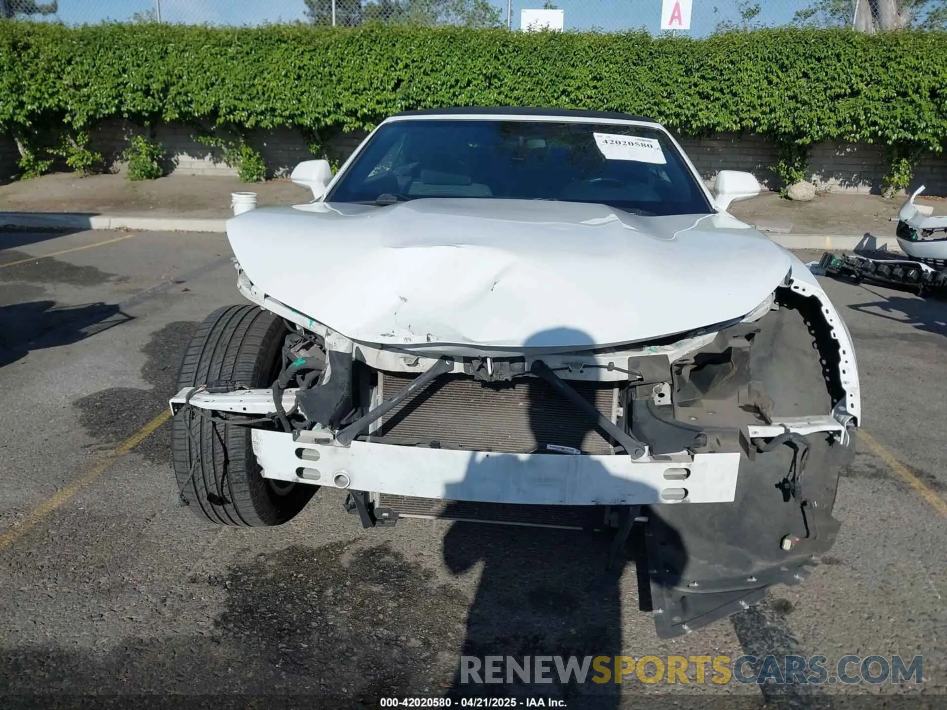 13 Photograph of a damaged car 1G1FB3DS7K0120438 CHEVROLET CAMARO 2019