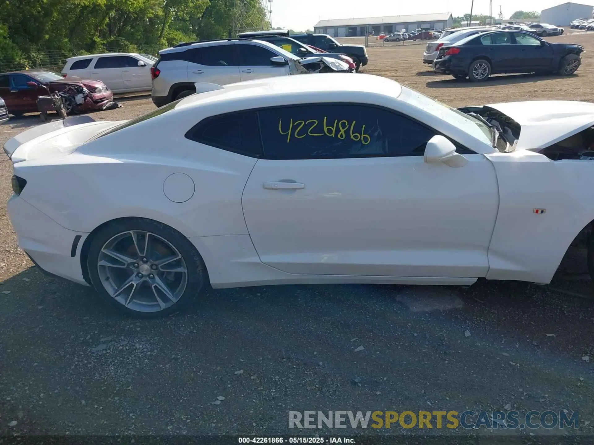 12 Photograph of a damaged car 1G1FD1RS1K0156116 CHEVROLET CAMARO 2019
