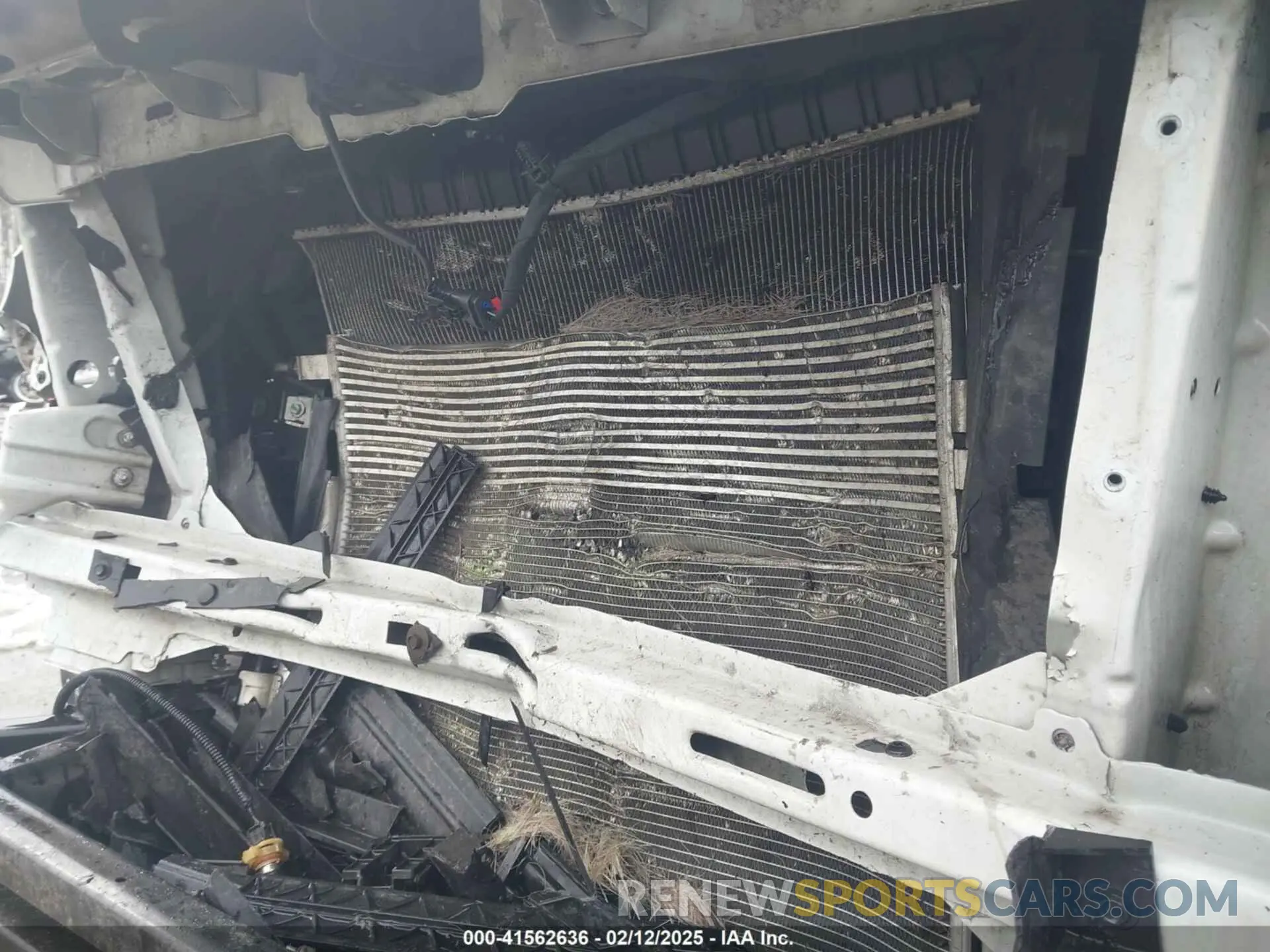 19 Photograph of a damaged car 1GCGTBEN5M1291133 CHEVROLET COLORADO 2021