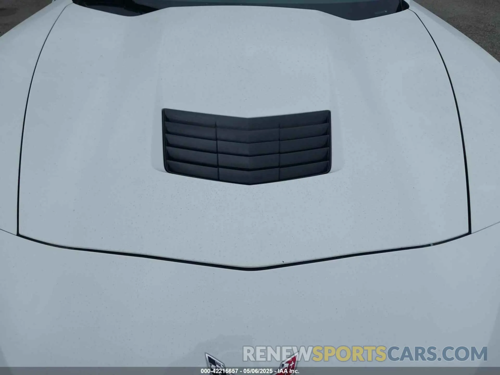 10 Photograph of a damaged car 1G1YB2D76K5112204 CHEVROLET CORVETTE 2019