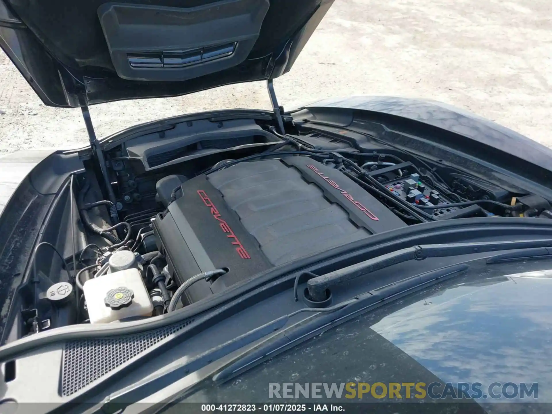 10 Photograph of a damaged car 1G1YW2D75K5110402 CHEVROLET CORVETTE 2019