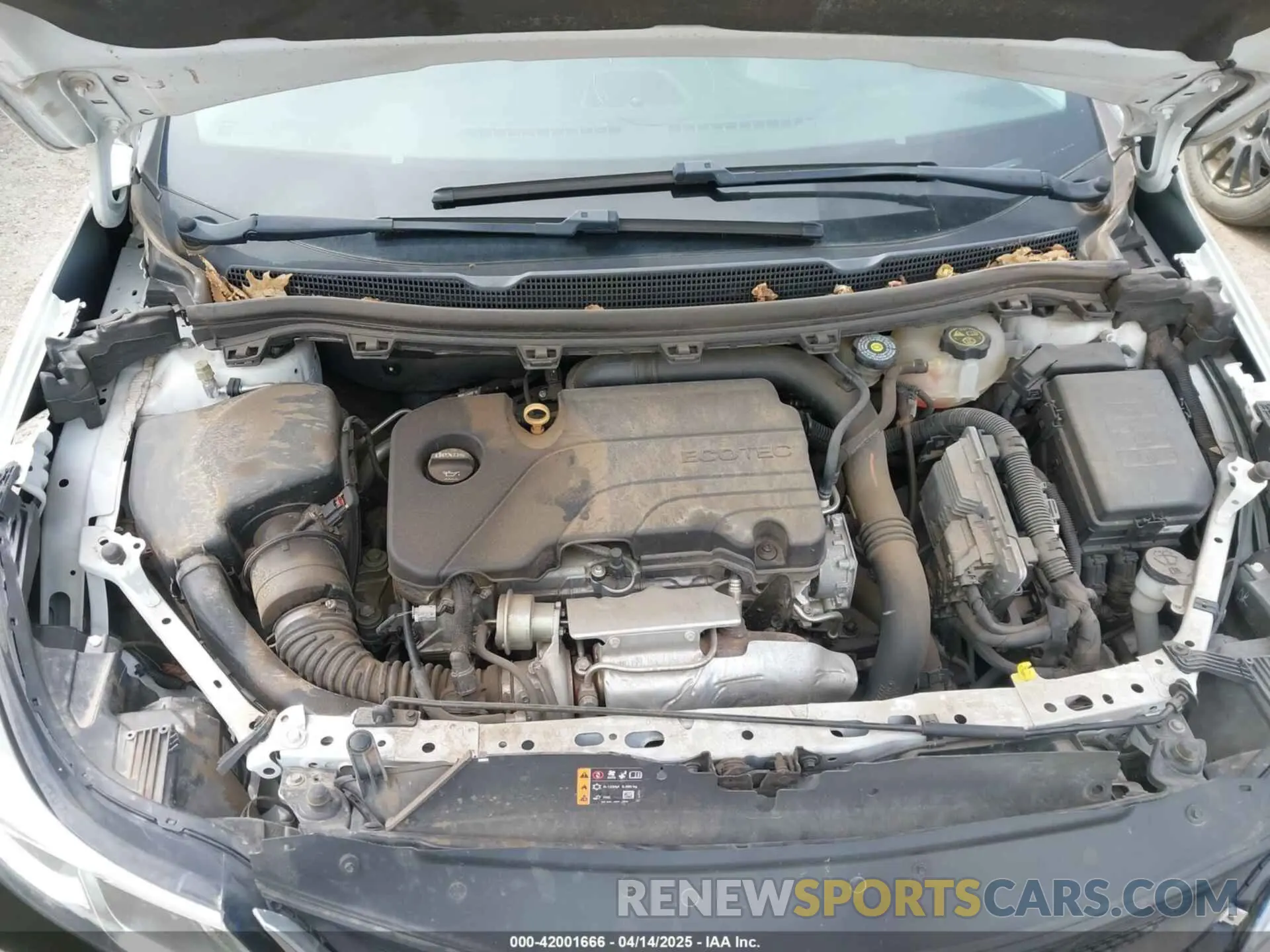 10 Photograph of a damaged car 1G1BC5SM2K7100598 CHEVROLET CRUZE 2019