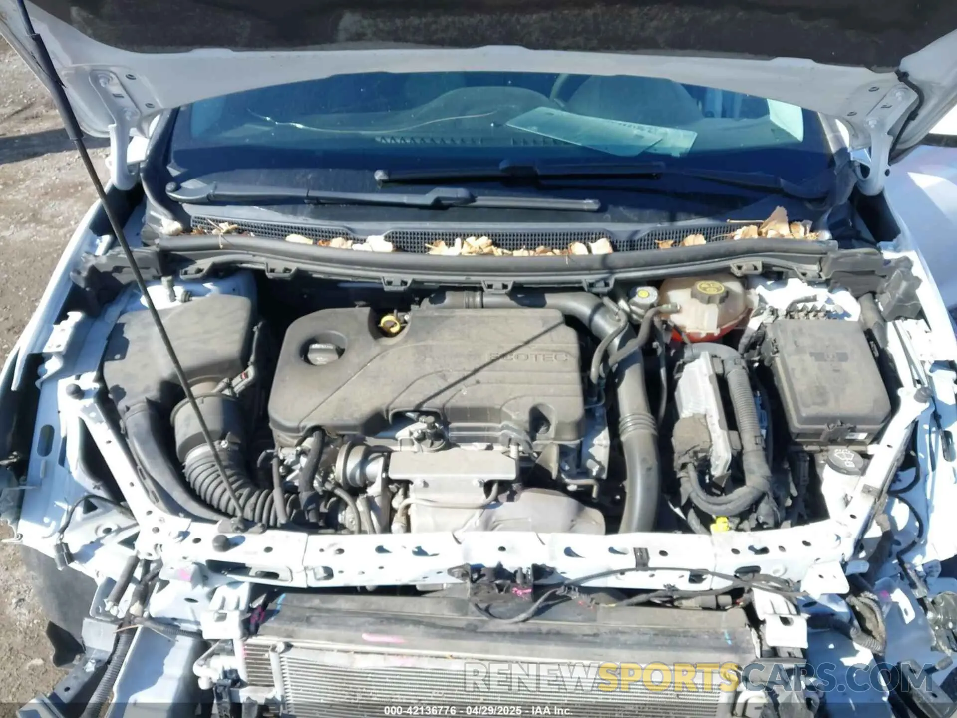 10 Photograph of a damaged car 1G1BC5SM6K7140070 CHEVROLET CRUZE 2019