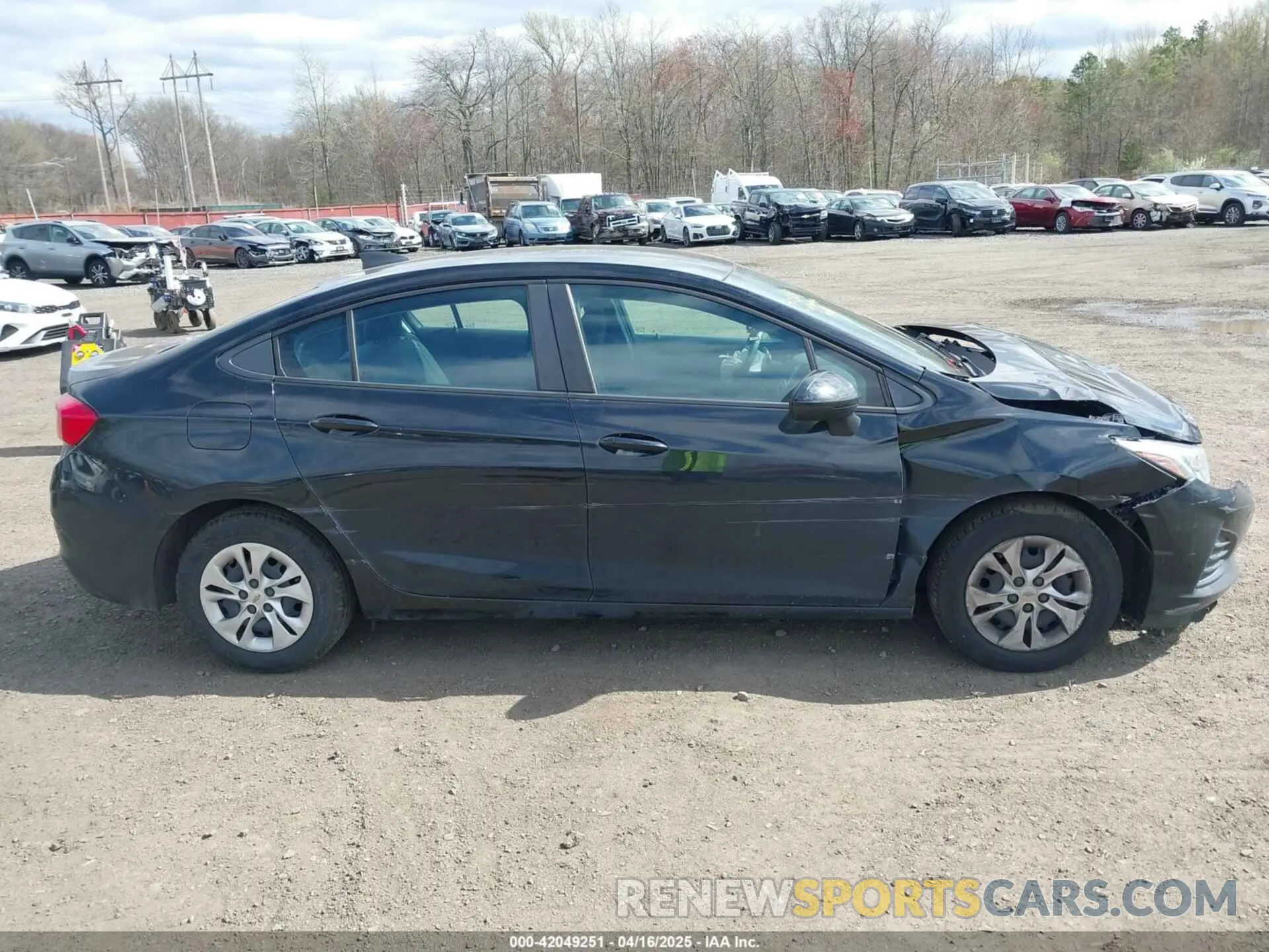 13 Photograph of a damaged car 1G1BC5SM8K7151216 CHEVROLET CRUZE 2019