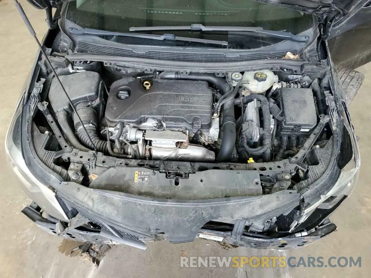 11 Photograph of a damaged car 1G1BE5SM5K7117549 CHEVROLET CRUZE 2019