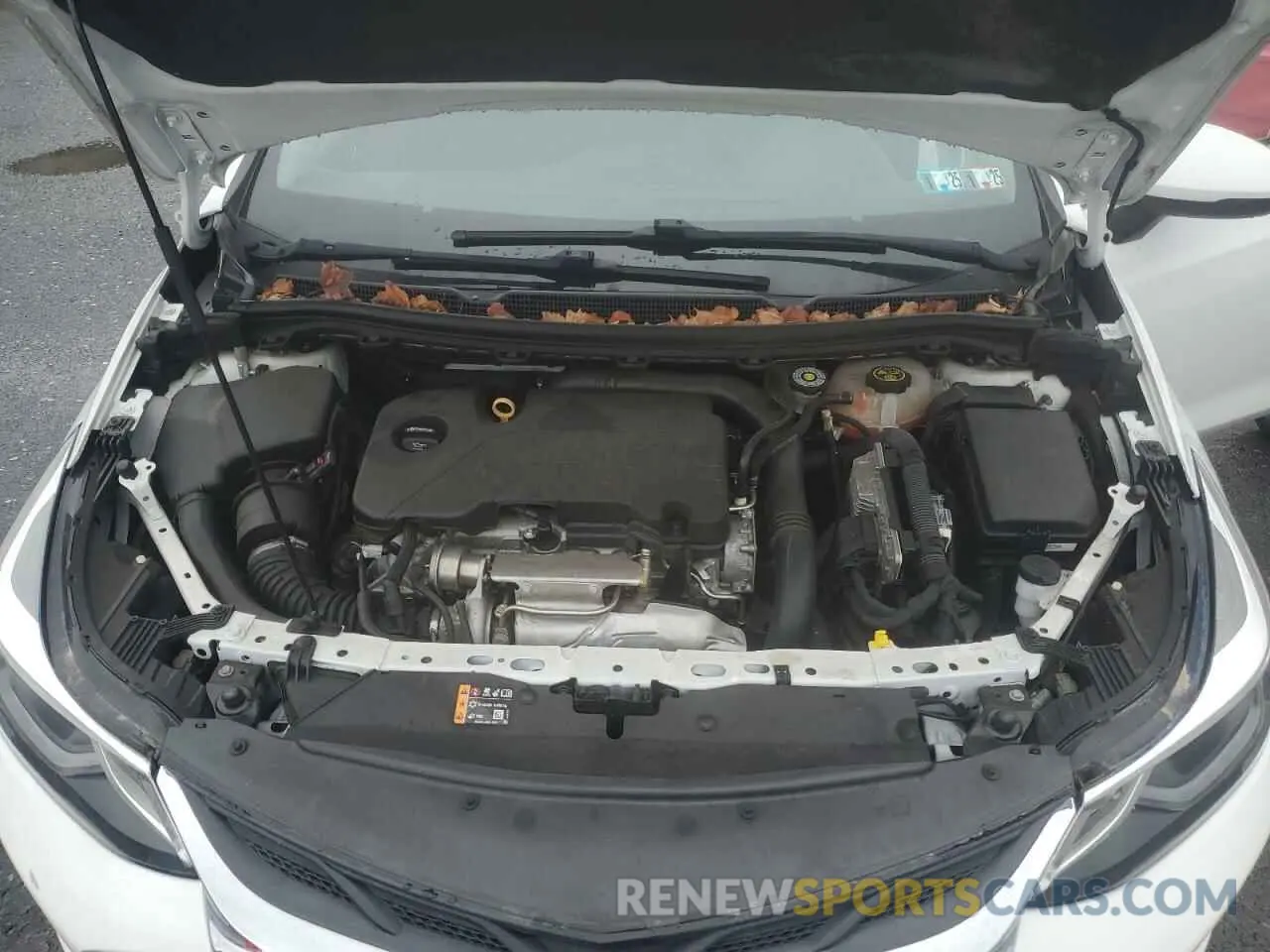 11 Photograph of a damaged car 1G1BE5SM6K7113977 CHEVROLET CRUZE 2019
