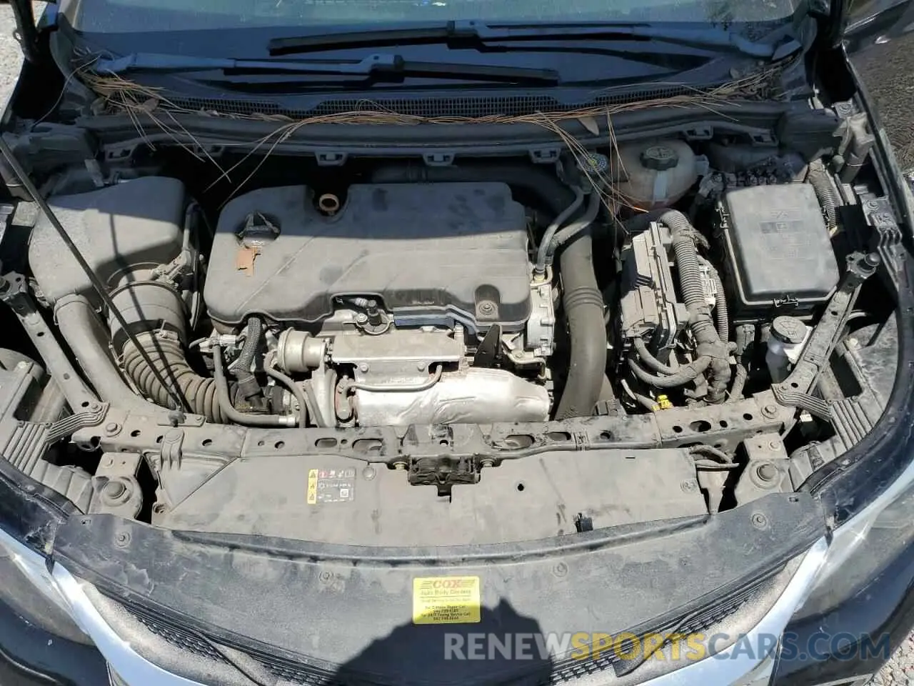 11 Photograph of a damaged car 1G1BE5SM7K7145580 CHEVROLET CRUZE 2019