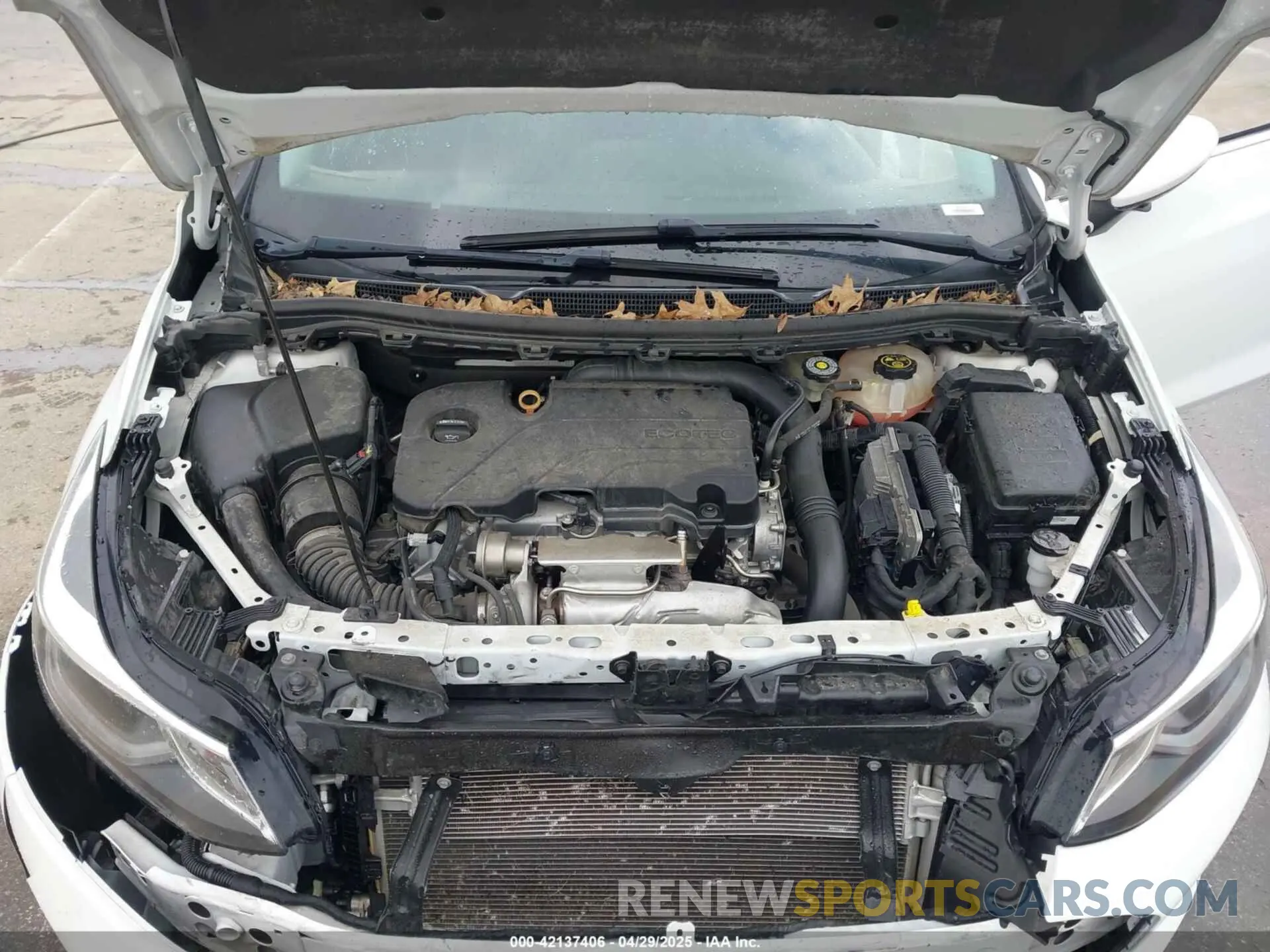 10 Photograph of a damaged car 1G1BE5SMXK7118146 CHEVROLET CRUZE 2019