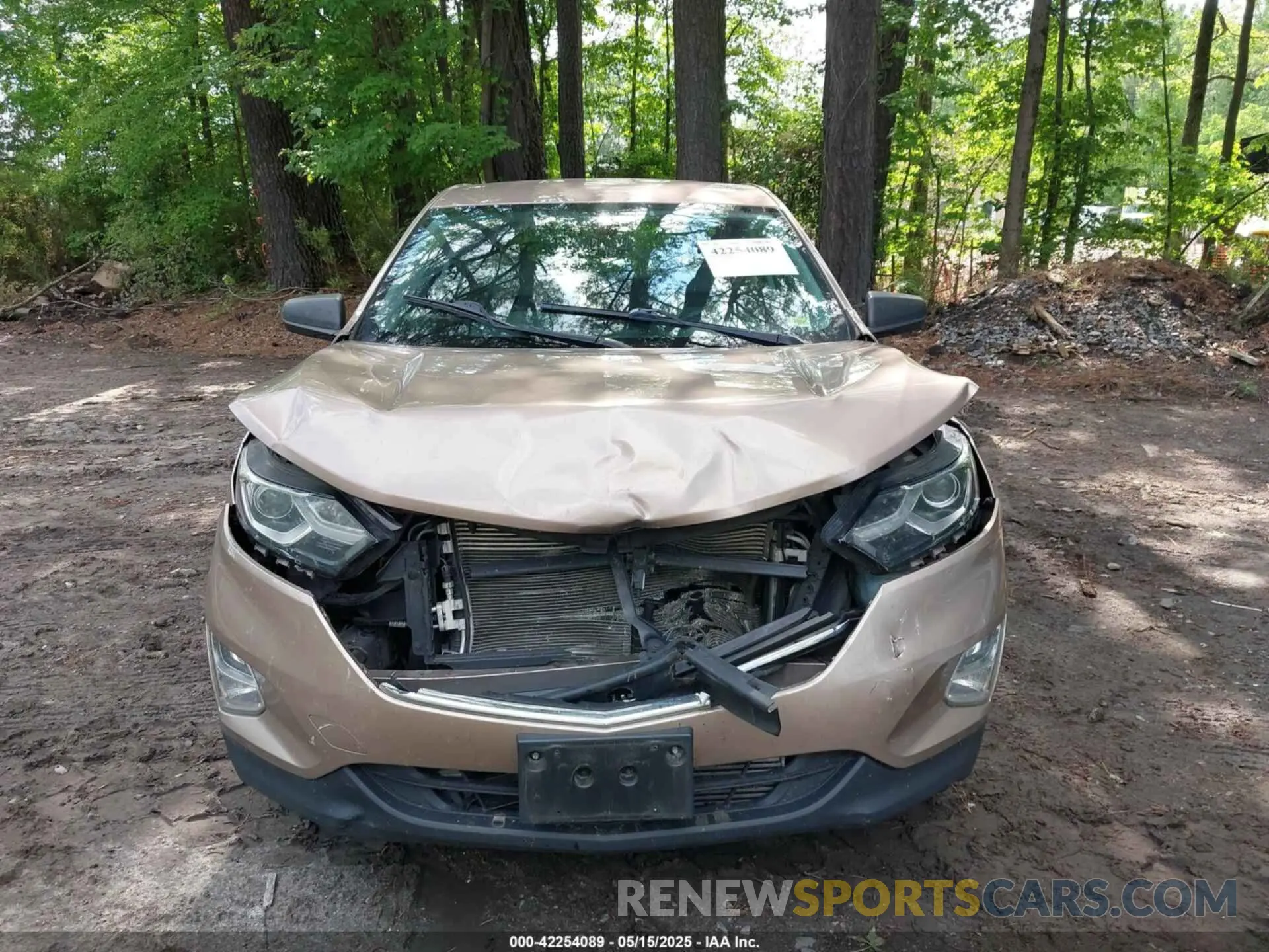 12 Photograph of a damaged car 2GNAXHEV5K6216902 CHEVROLET EQUINOX 2019