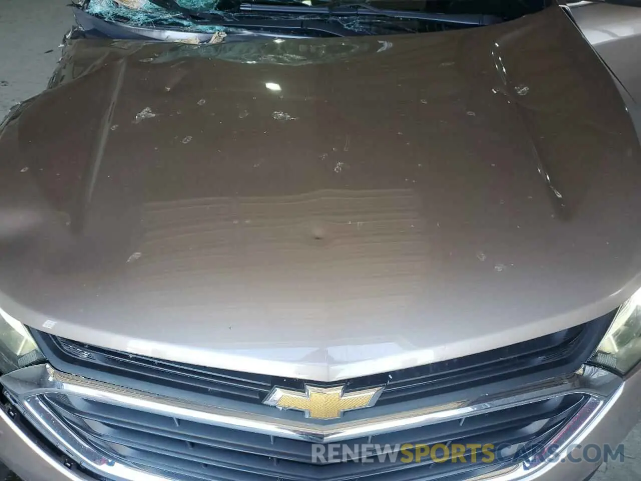 12 Photograph of a damaged car 2GNAXJEV2K6261030 CHEVROLET EQUINOX 2019