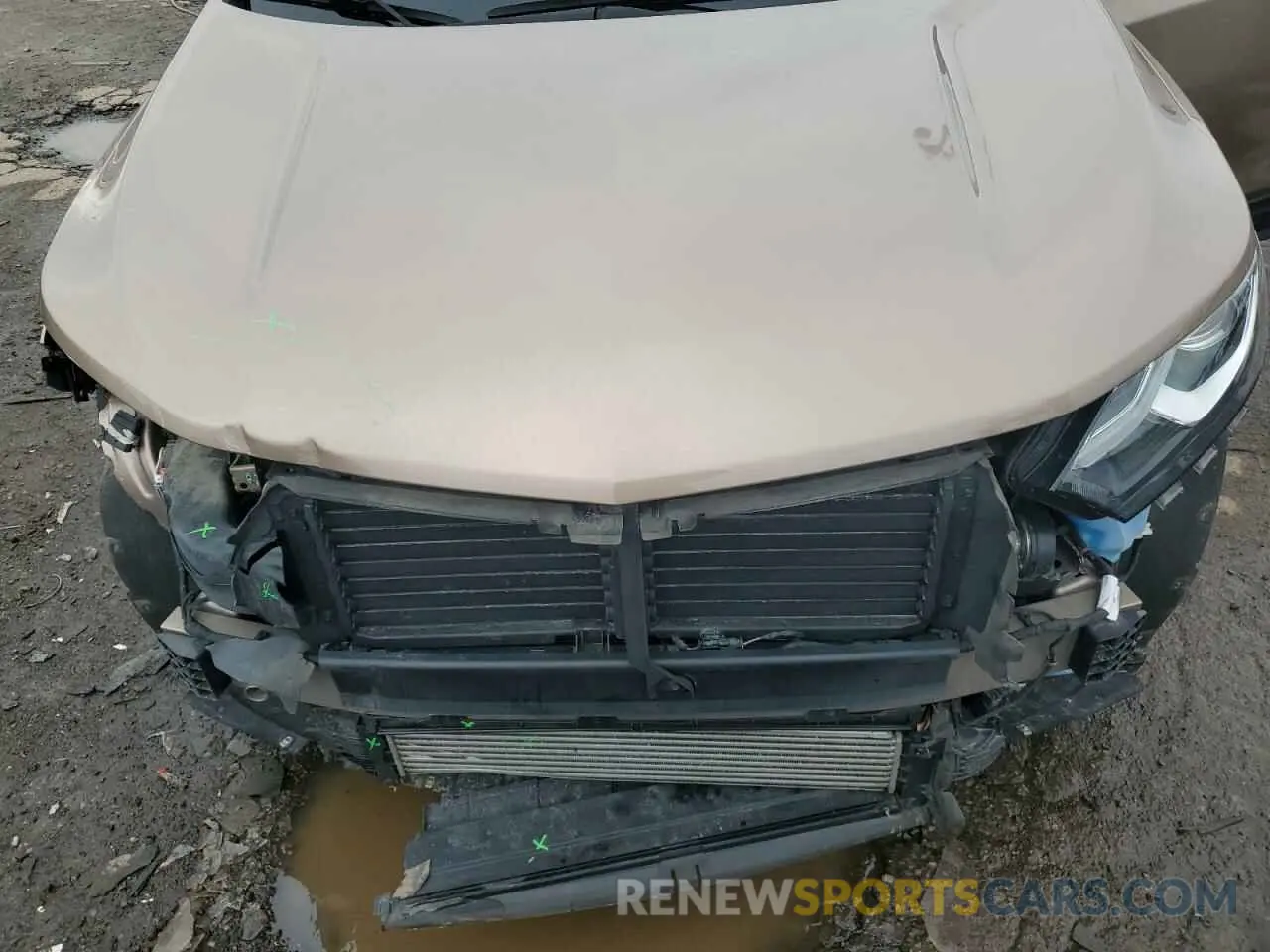 12 Photograph of a damaged car 2GNAXJEV3K6291461 CHEVROLET EQUINOX 2019
