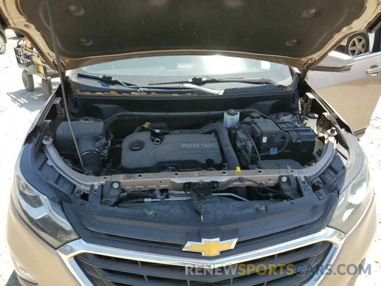 12 Photograph of a damaged car 2GNAXJEV5K6271342 CHEVROLET EQUINOX 2019