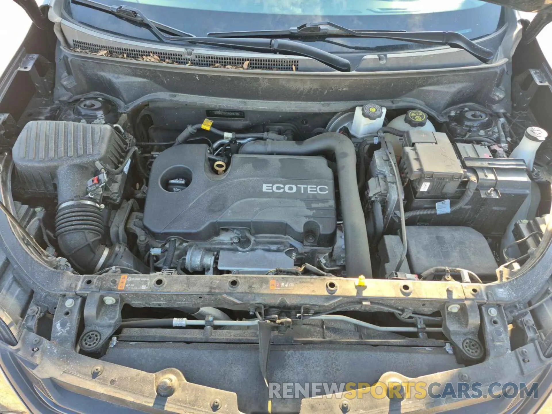12 Photograph of a damaged car 2GNAXTEV1K6256770 CHEVROLET EQUINOX 2019