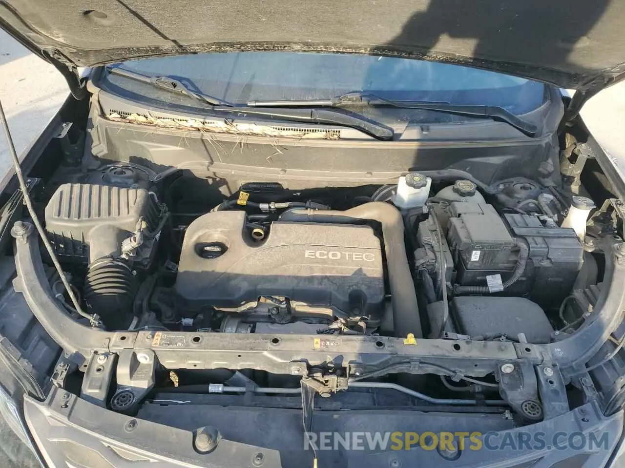 13 Photograph of a damaged car 3GNAXKEV1KL260890 CHEVROLET EQUINOX 2019