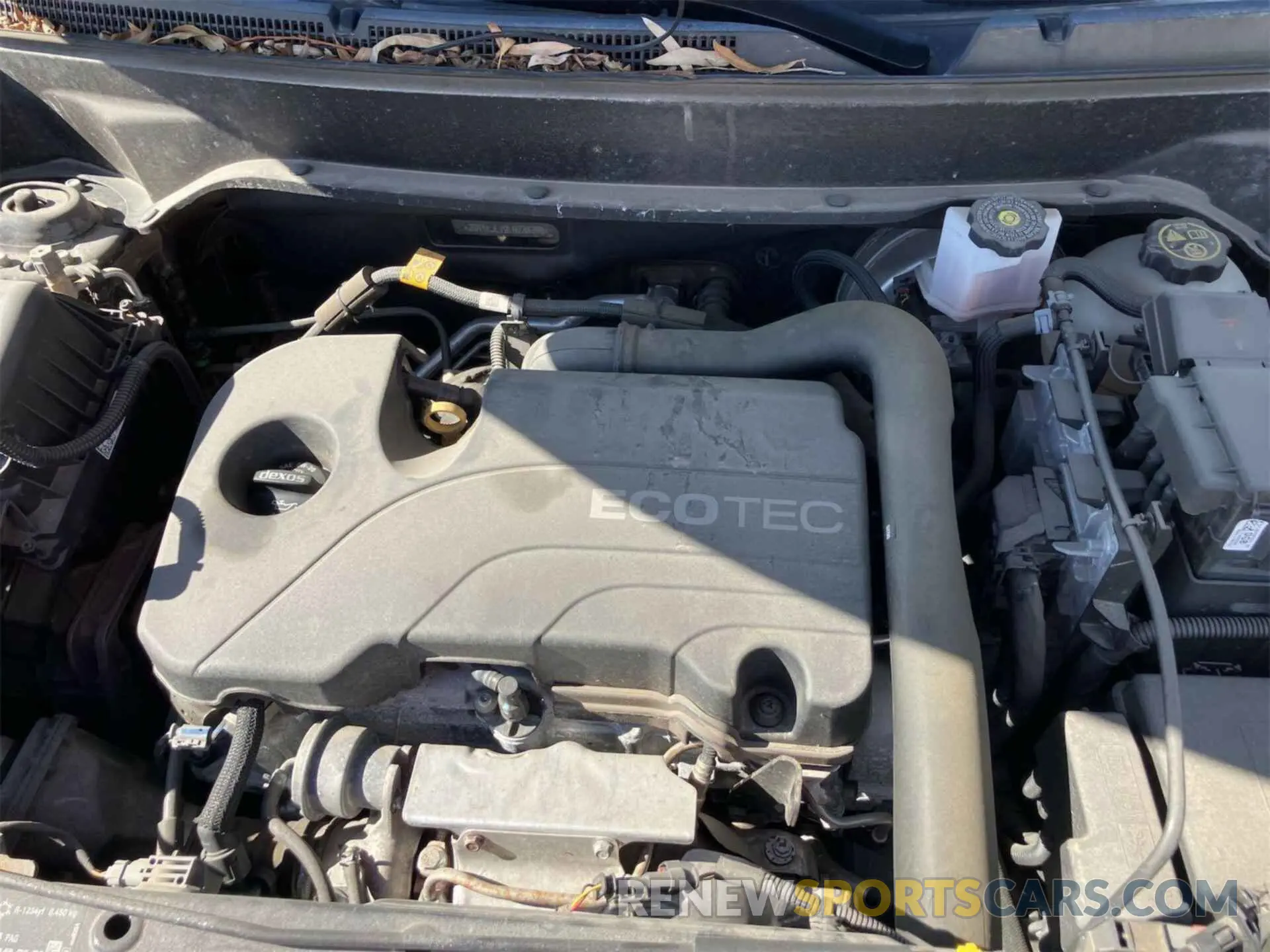 1 Photograph of a damaged car 2GNAXJEV9L6236398 CHEVROLET EQUINOX 2020