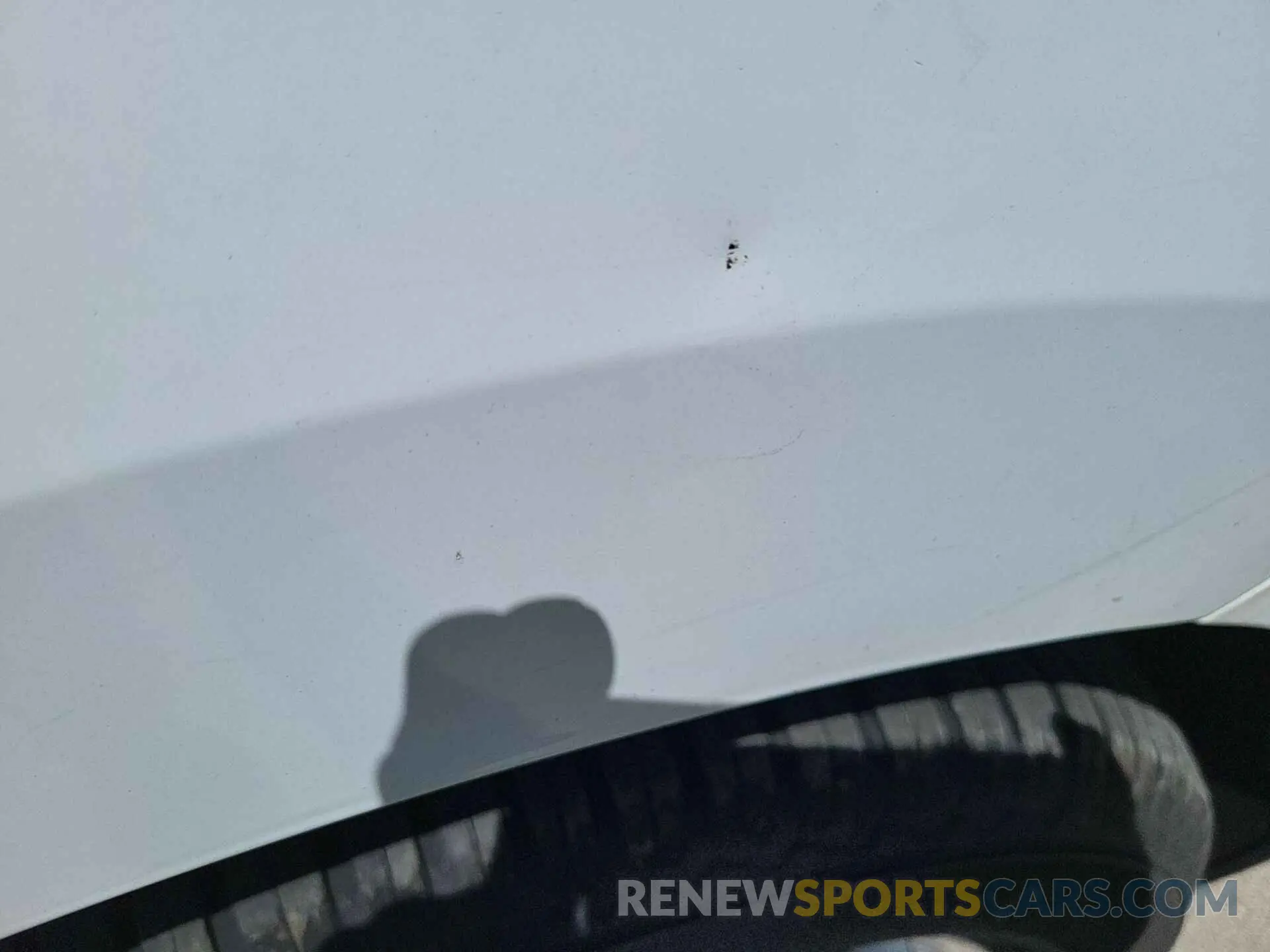 19 Photograph of a damaged car 3GNAXTEVXNL134991 CHEVROLET EQUINOX 2022