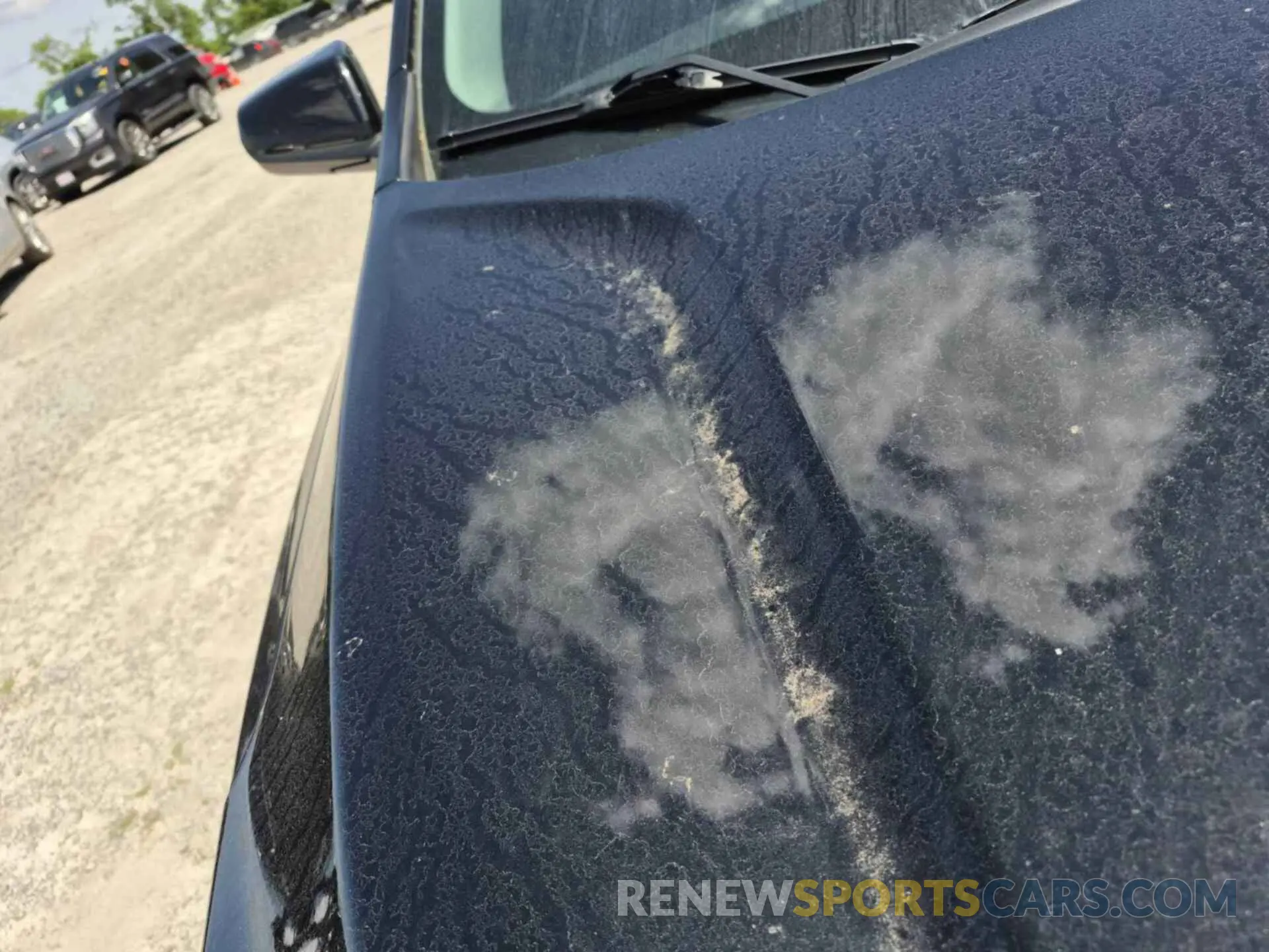2 Photograph of a damaged car 3GNAXJEG3PL253006 CHEVROLET EQUINOX 2023