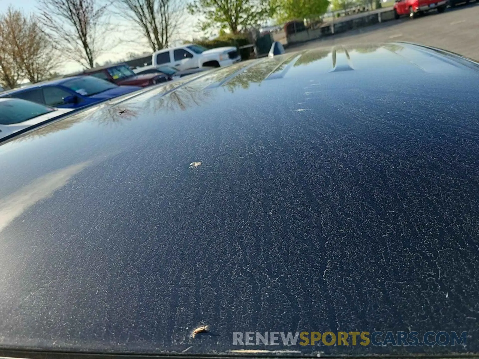 5 Photograph of a damaged car 3GNAXJEGXPL118279 CHEVROLET EQUINOX 2023