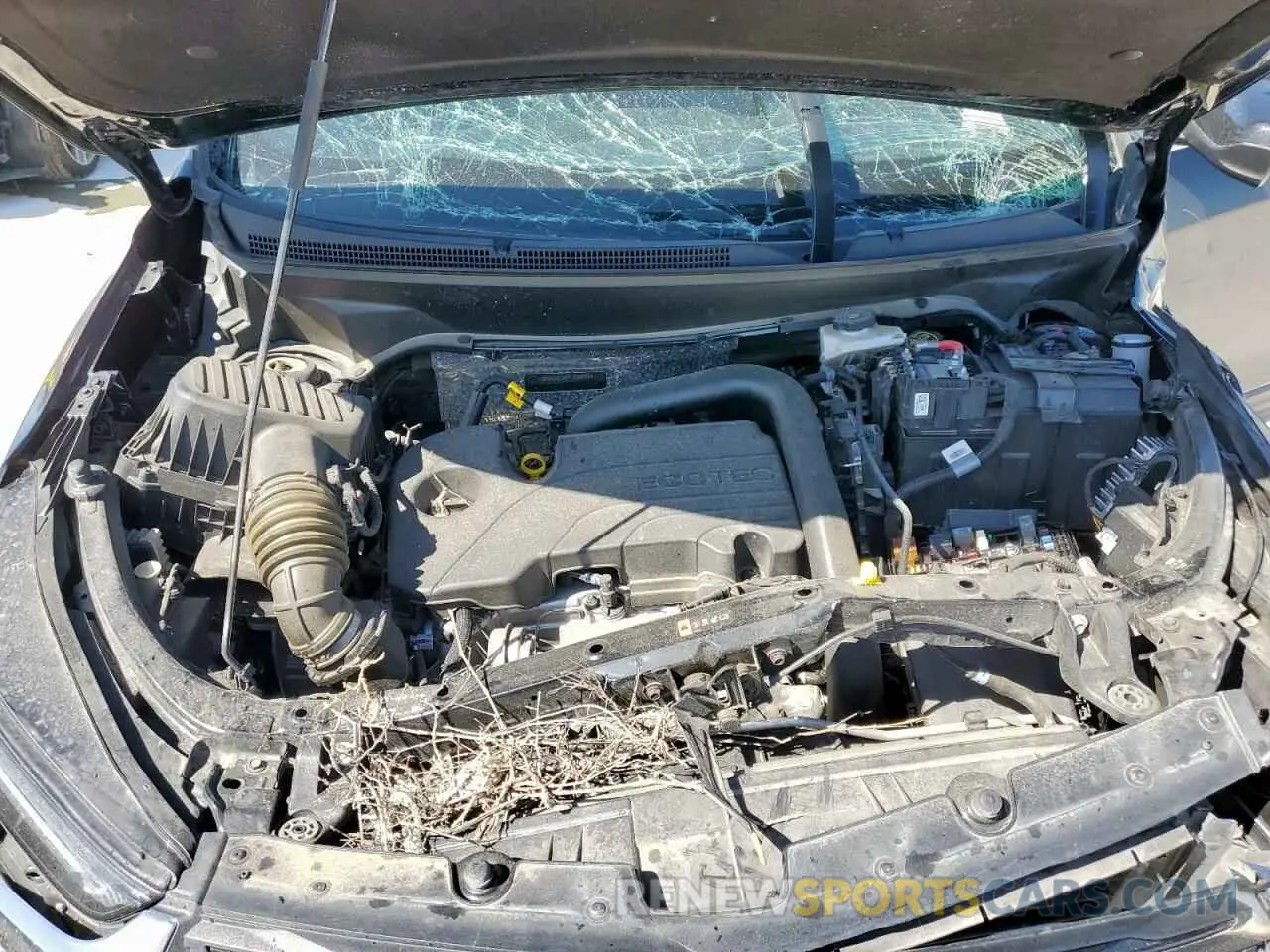 12 Photograph of a damaged car 3GNAXKEG6PL258805 CHEVROLET EQUINOX 2023