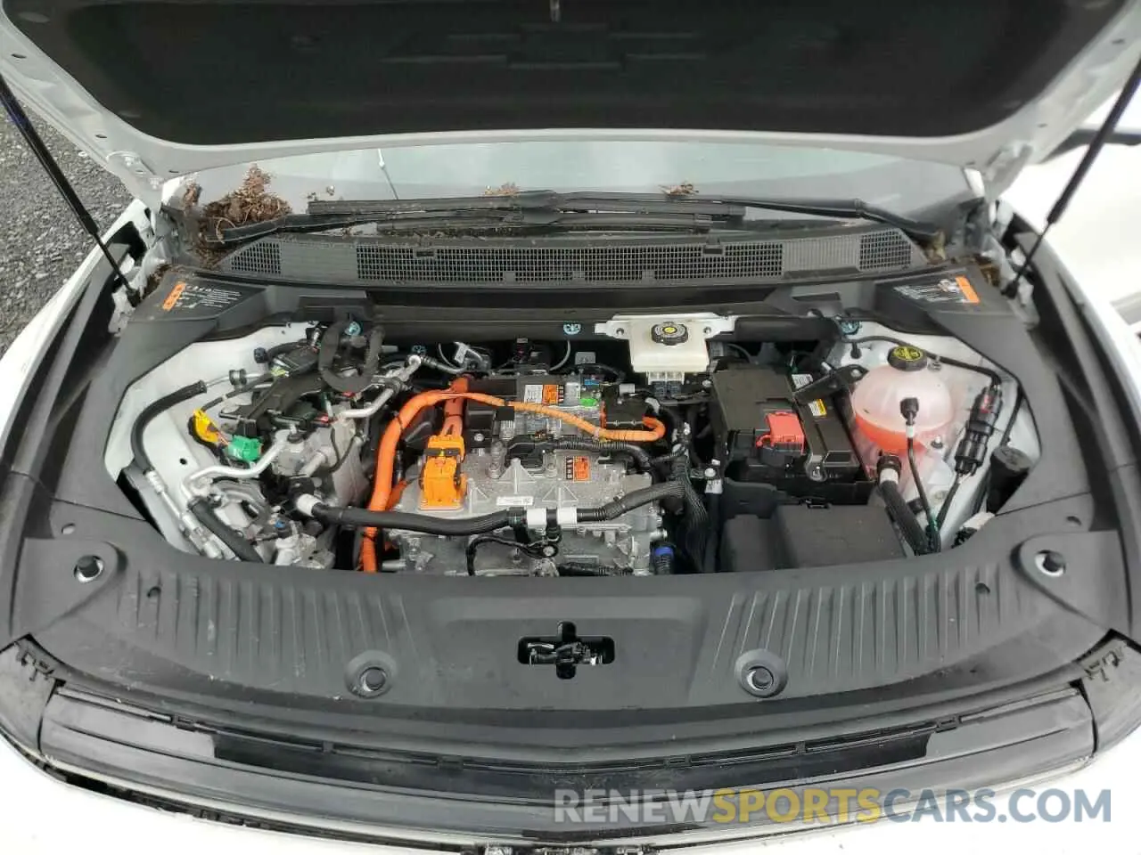 12 Photograph of a damaged car 3GN7DLRP1RS260215 CHEVROLET EQUINOX 2024