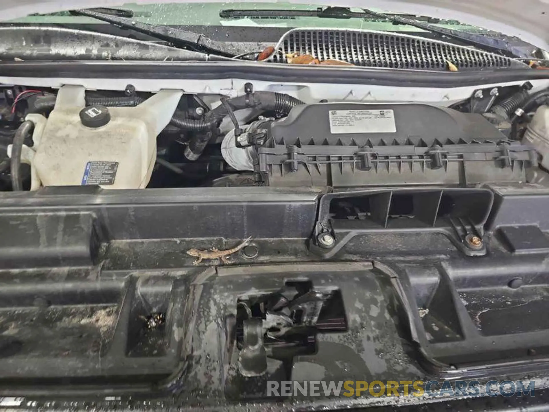 23 Photograph of a damaged car 1GCWGAFP1M1309427 CHEVROLET EXPRESS CARGO 2021