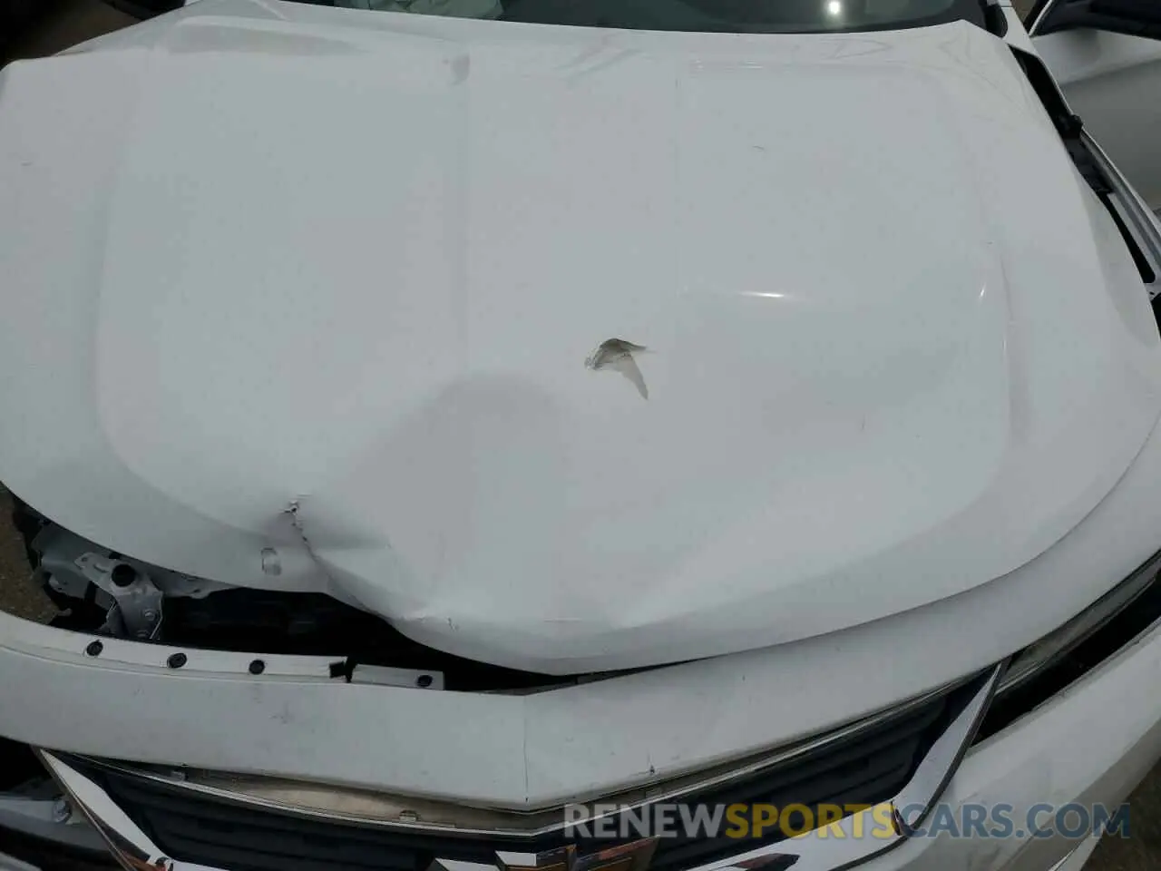 11 Photograph of a damaged car 1G11Y5SA1KU144225 CHEVROLET IMPALA 2019