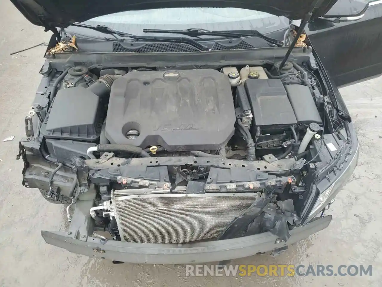 11 Photograph of a damaged car 1G11Z5S37KU114113 CHEVROLET IMPALA 2019