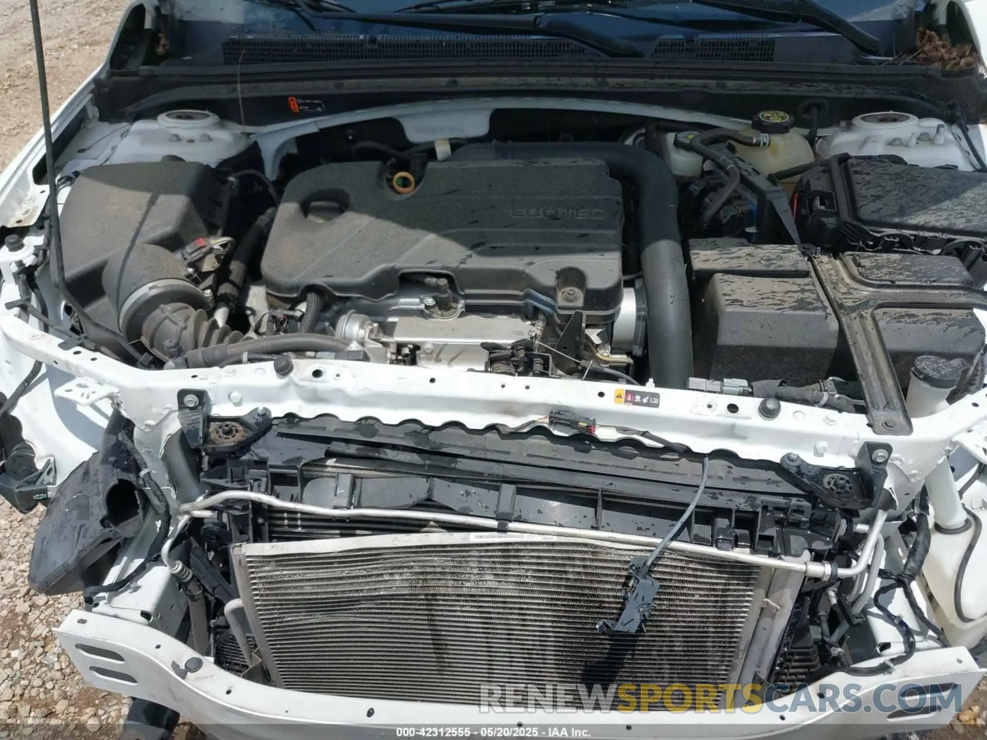 10 Photograph of a damaged car 1G1ZB5ST1KF198733 CHEVROLET MALIBU 2019