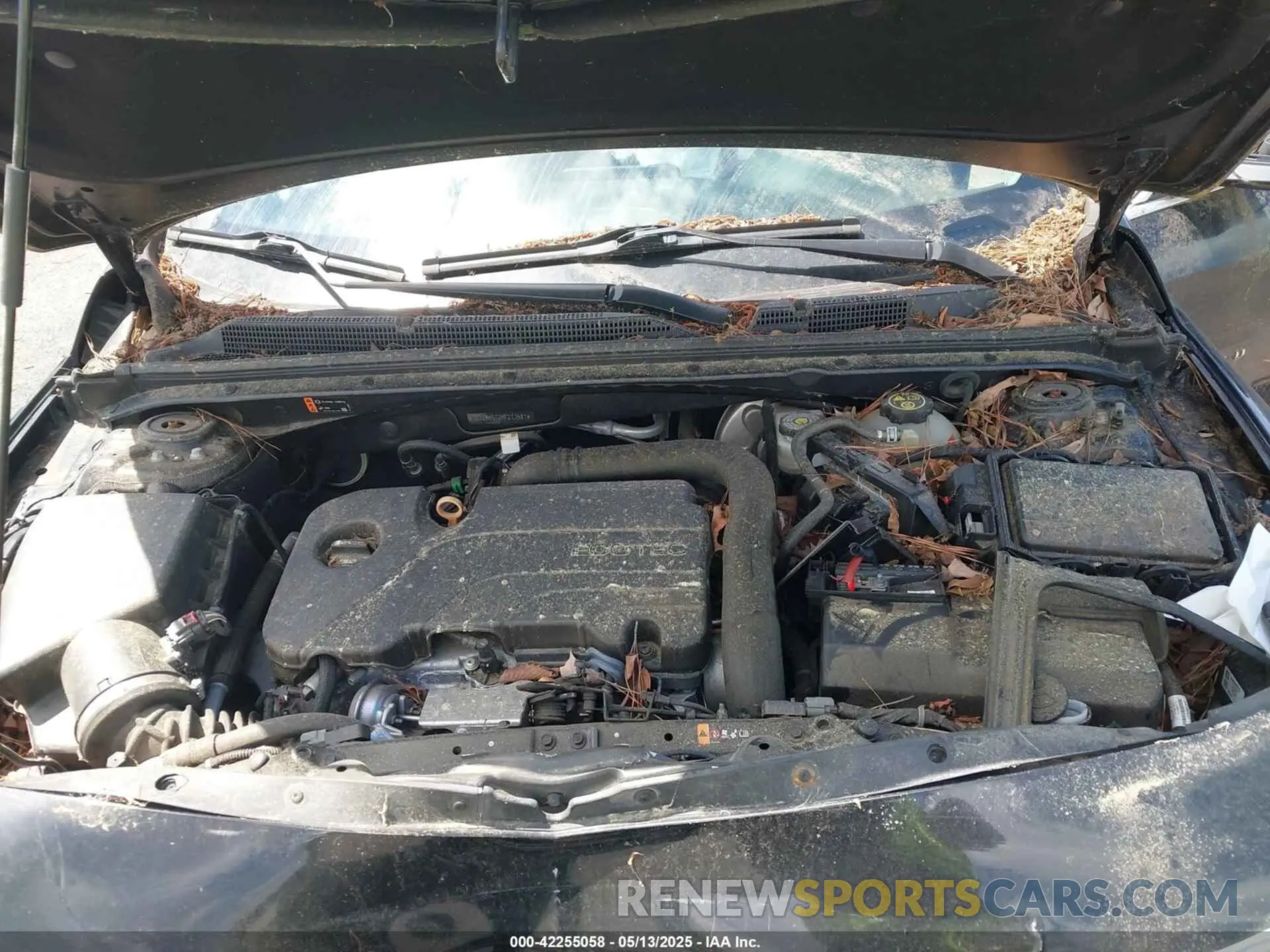 10 Photograph of a damaged car 1G1ZB5ST2KF217581 CHEVROLET MALIBU 2019
