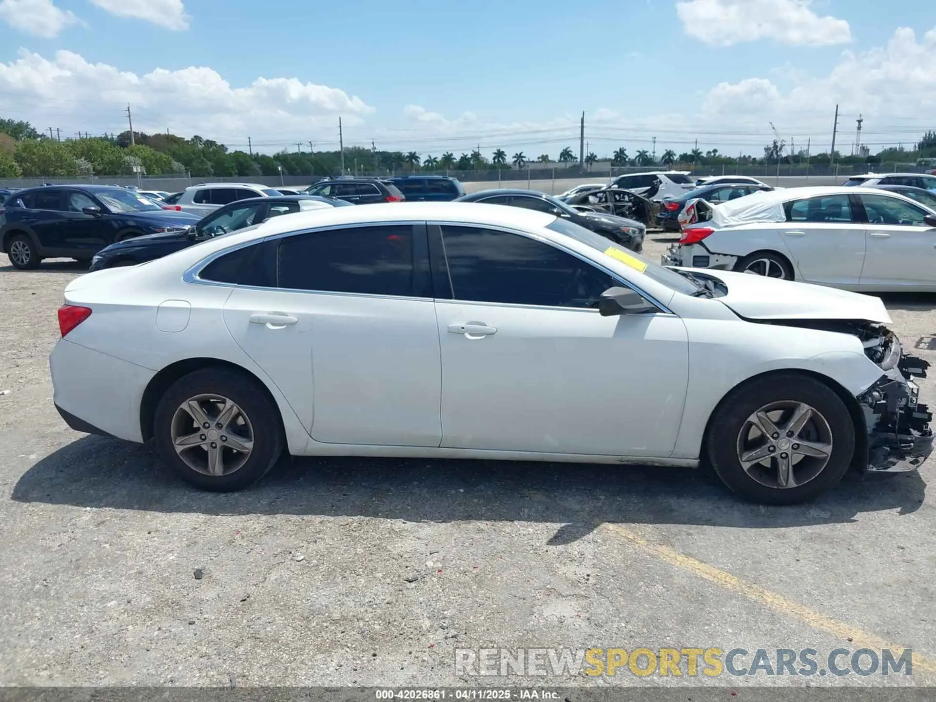 14 Photograph of a damaged car 1G1ZB5ST3KF215631 CHEVROLET MALIBU 2019