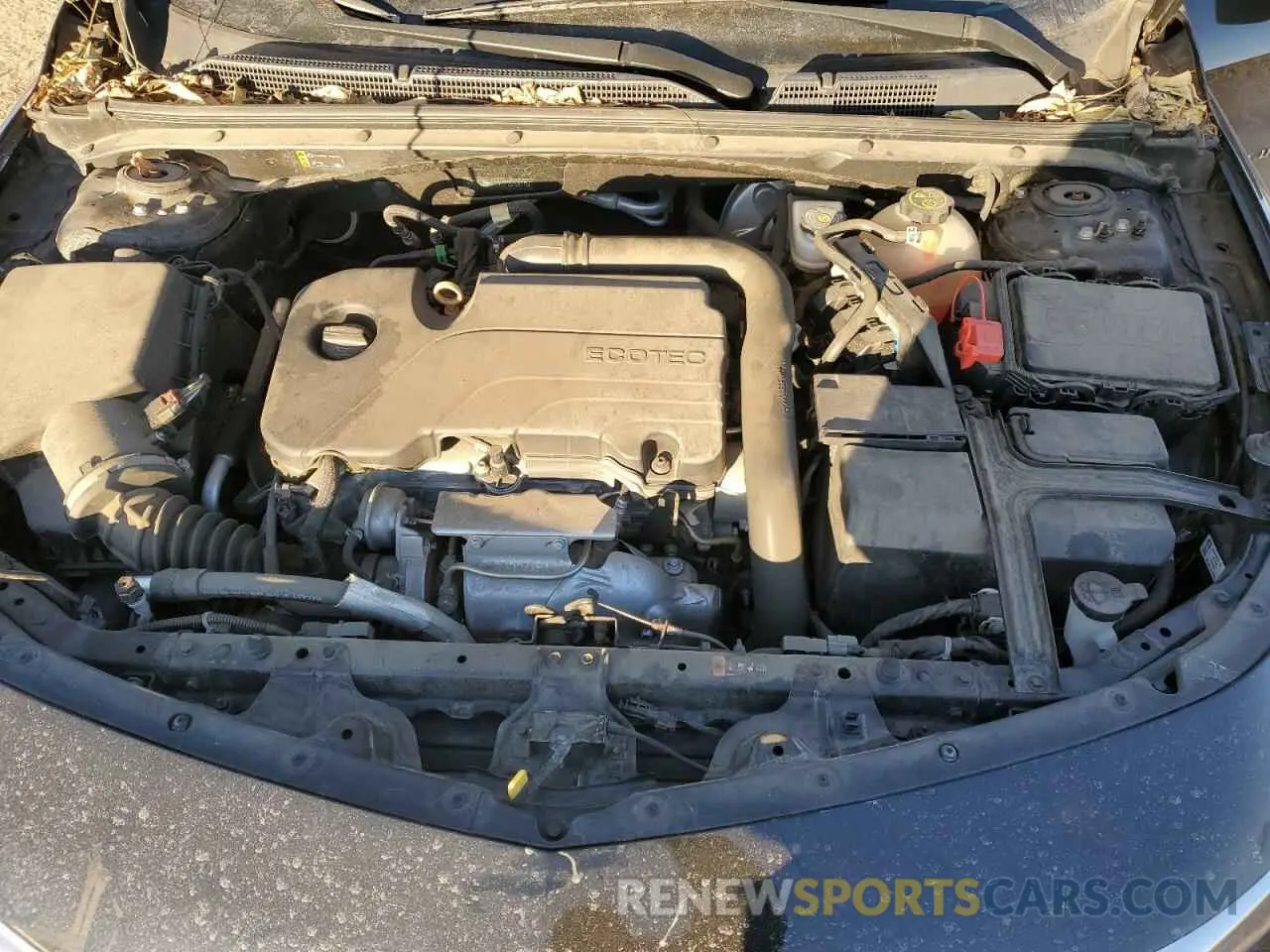 11 Photograph of a damaged car 1G1ZB5ST3KF226810 CHEVROLET MALIBU 2019