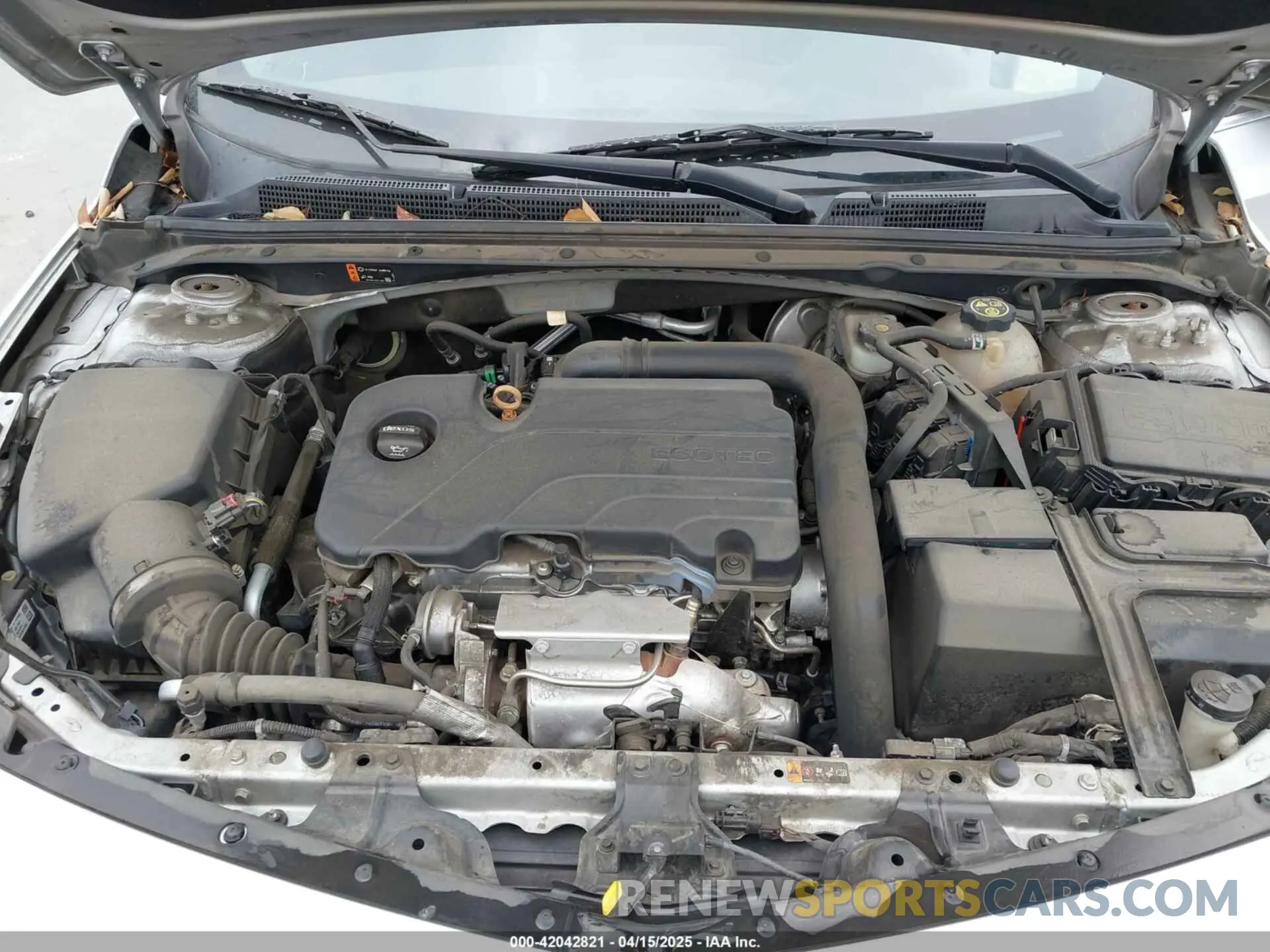 10 Photograph of a damaged car 1G1ZB5ST5KF144156 CHEVROLET MALIBU 2019