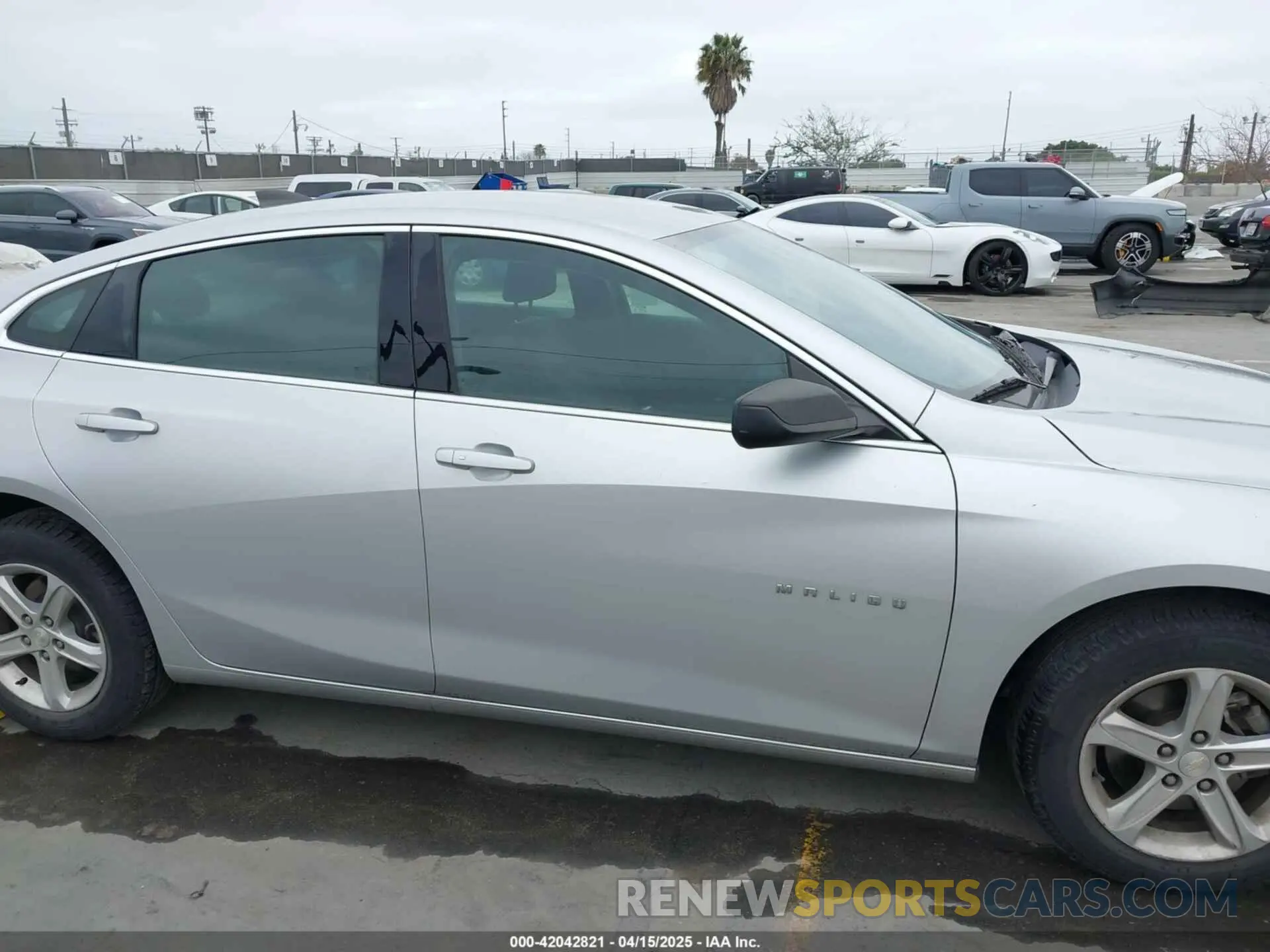 13 Photograph of a damaged car 1G1ZB5ST5KF144156 CHEVROLET MALIBU 2019
