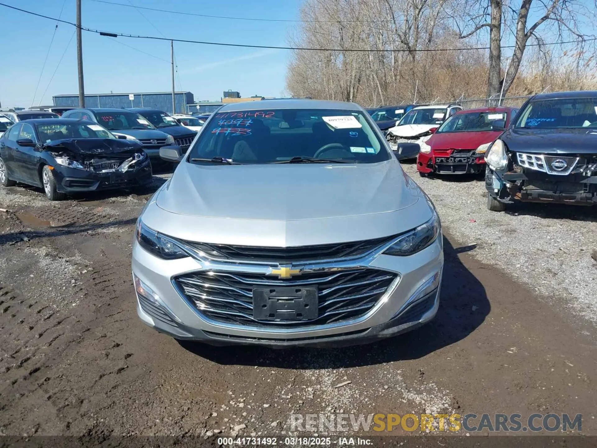 12 Photograph of a damaged car 1G1ZB5ST5KF147591 CHEVROLET MALIBU 2019