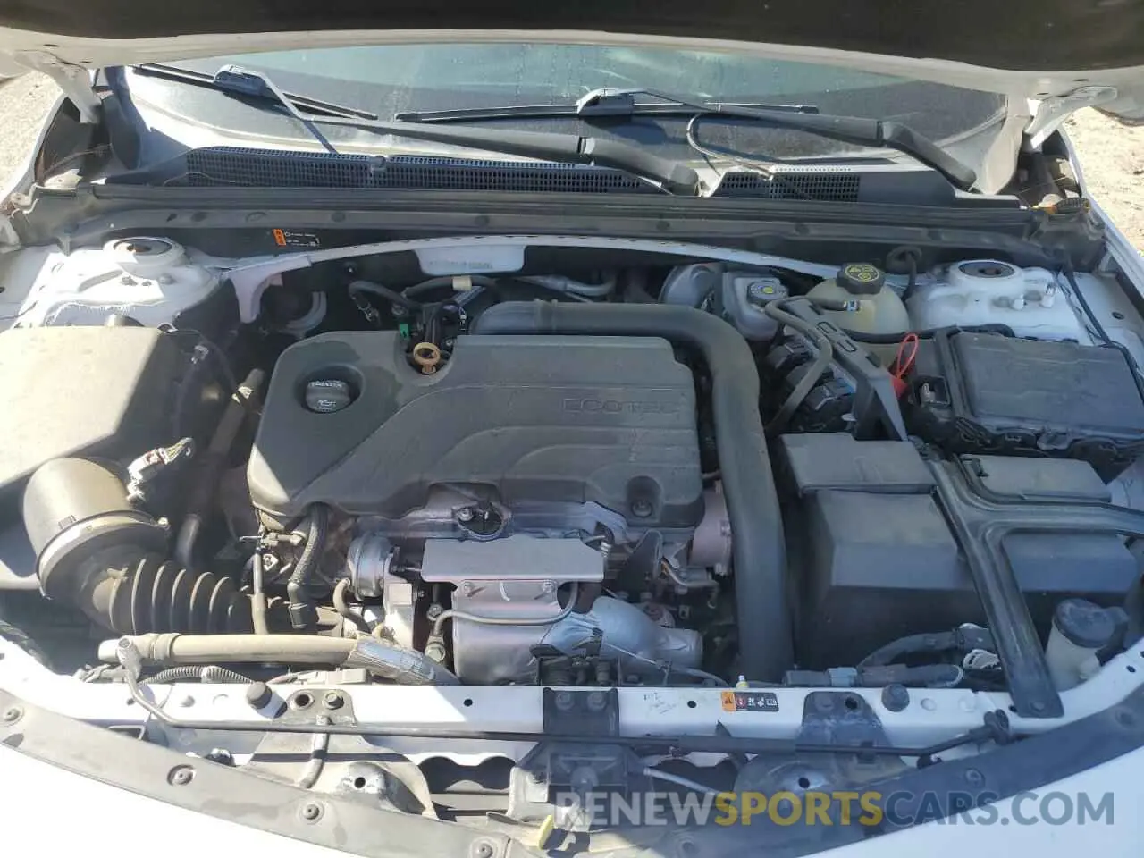 11 Photograph of a damaged car 1G1ZB5ST7KF125768 CHEVROLET MALIBU 2019