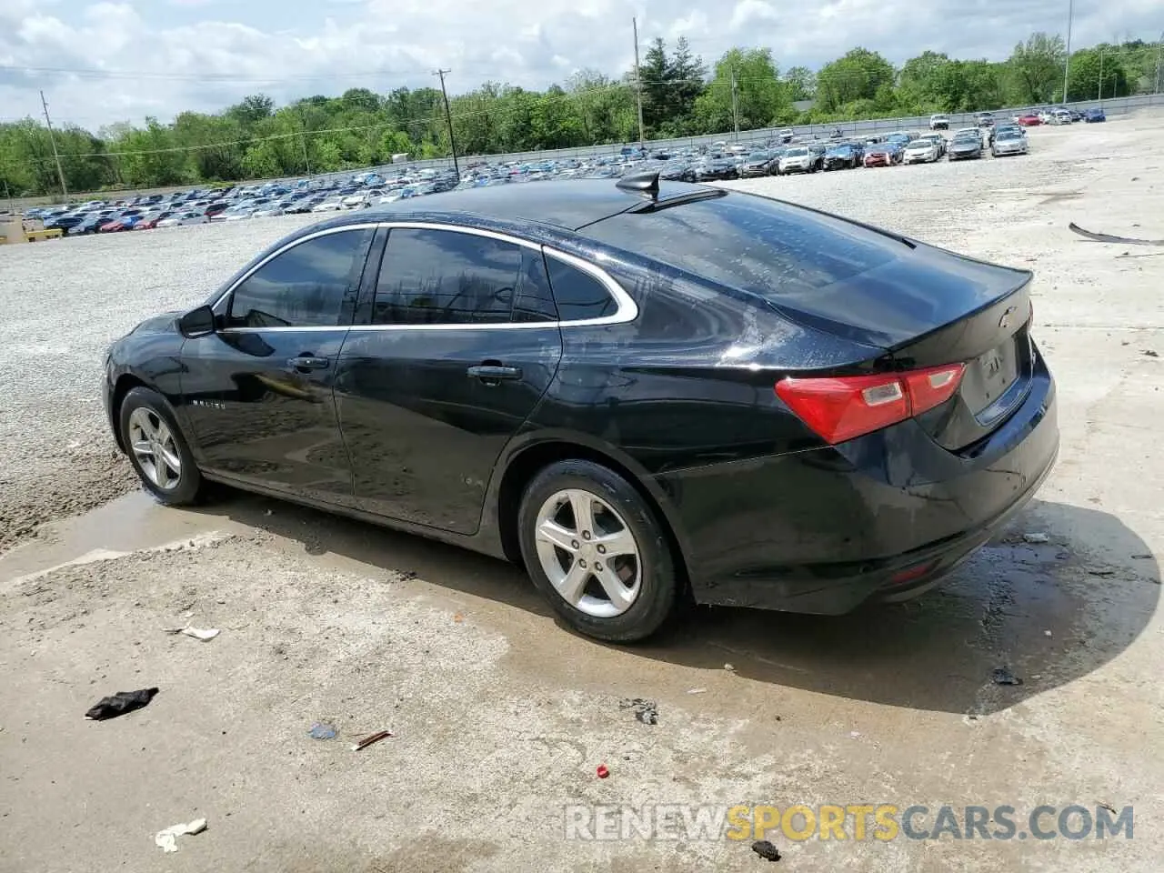 2 Photograph of a damaged car 1G1ZB5ST8KF118716 CHEVROLET MALIBU 2019