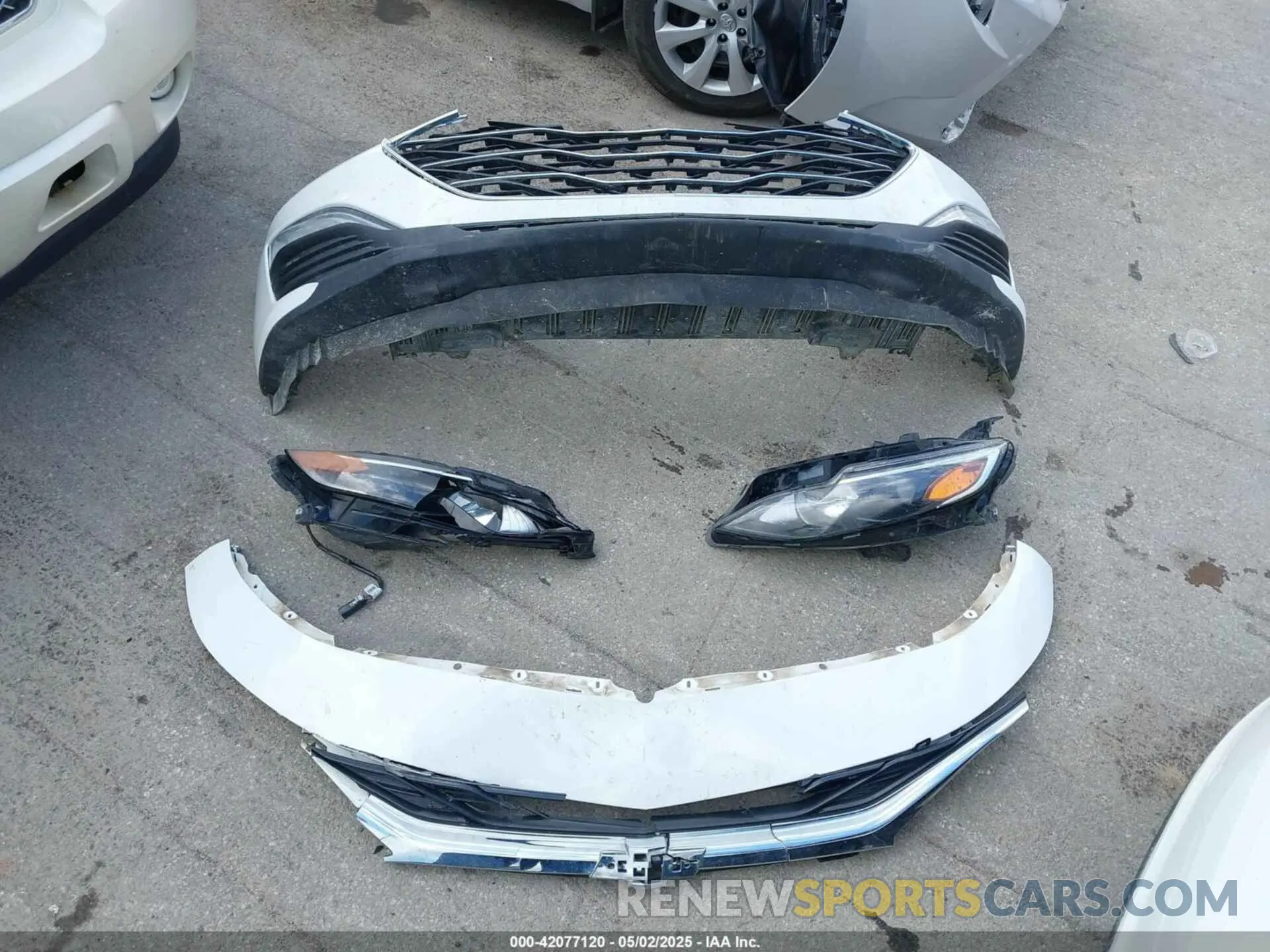 12 Photograph of a damaged car 1G1ZB5ST8KF203815 CHEVROLET MALIBU 2019