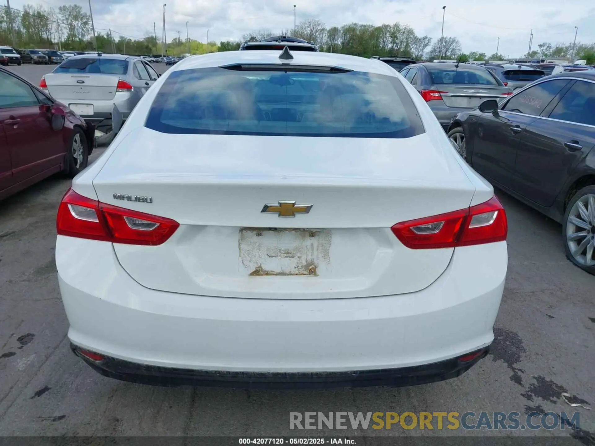17 Photograph of a damaged car 1G1ZB5ST8KF203815 CHEVROLET MALIBU 2019