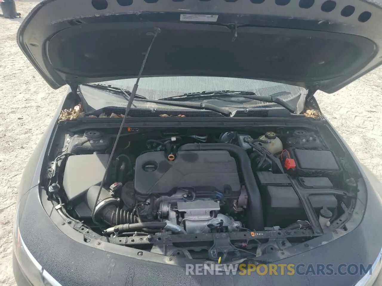 12 Photograph of a damaged car 1G1ZB5ST8KF223322 CHEVROLET MALIBU 2019