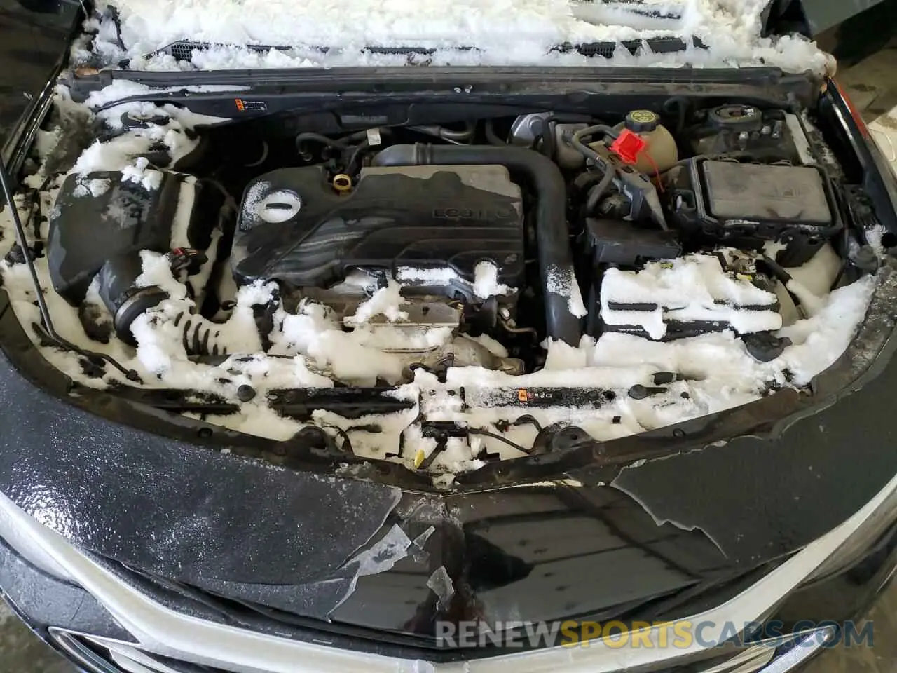 11 Photograph of a damaged car 1G1ZB5ST8KF225524 CHEVROLET MALIBU 2019