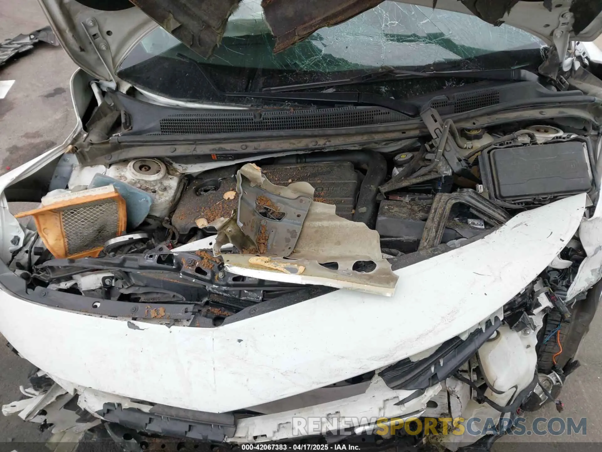 10 Photograph of a damaged car 1G1ZB5STXKF220180 CHEVROLET MALIBU 2019