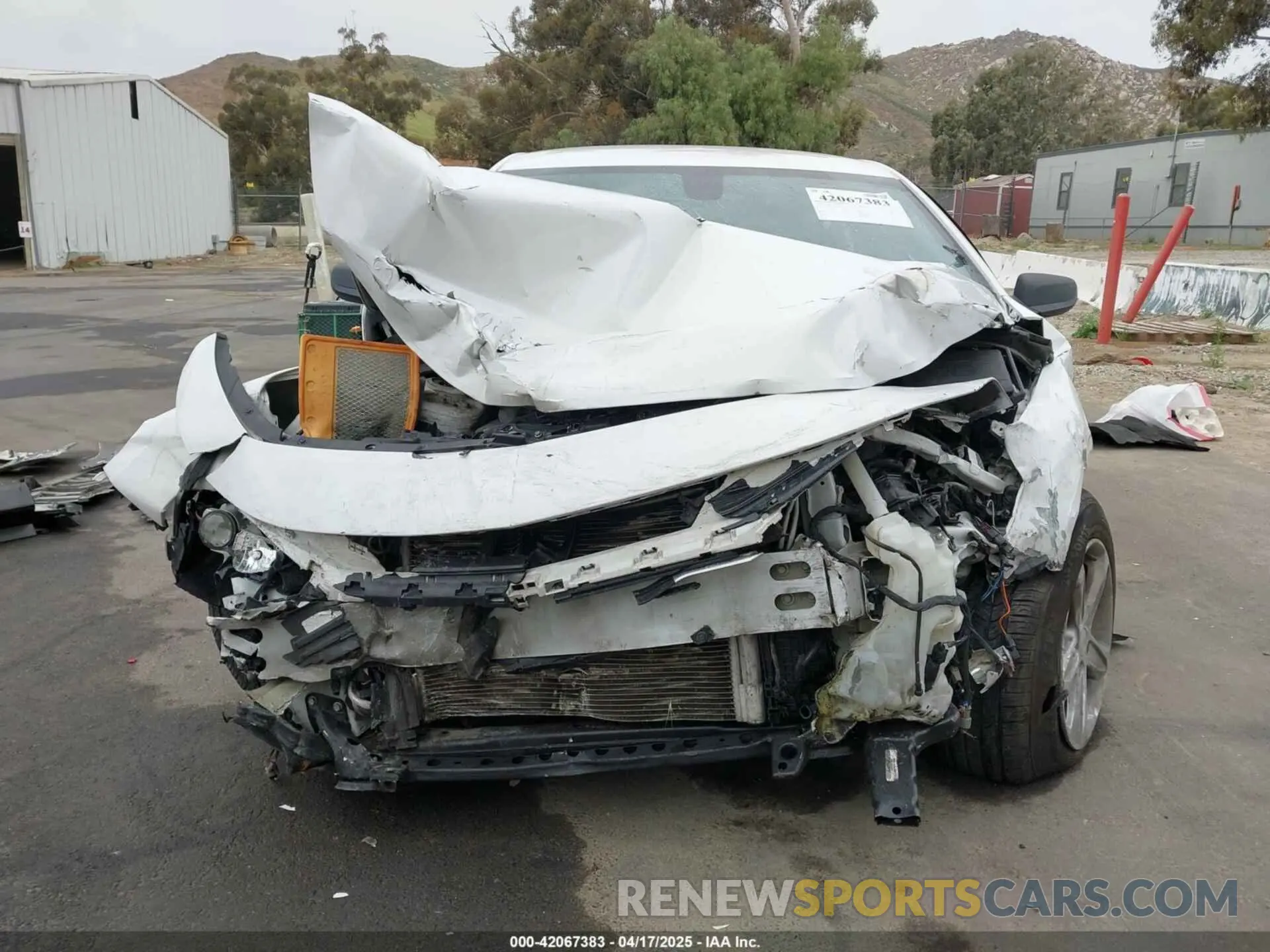 13 Photograph of a damaged car 1G1ZB5STXKF220180 CHEVROLET MALIBU 2019