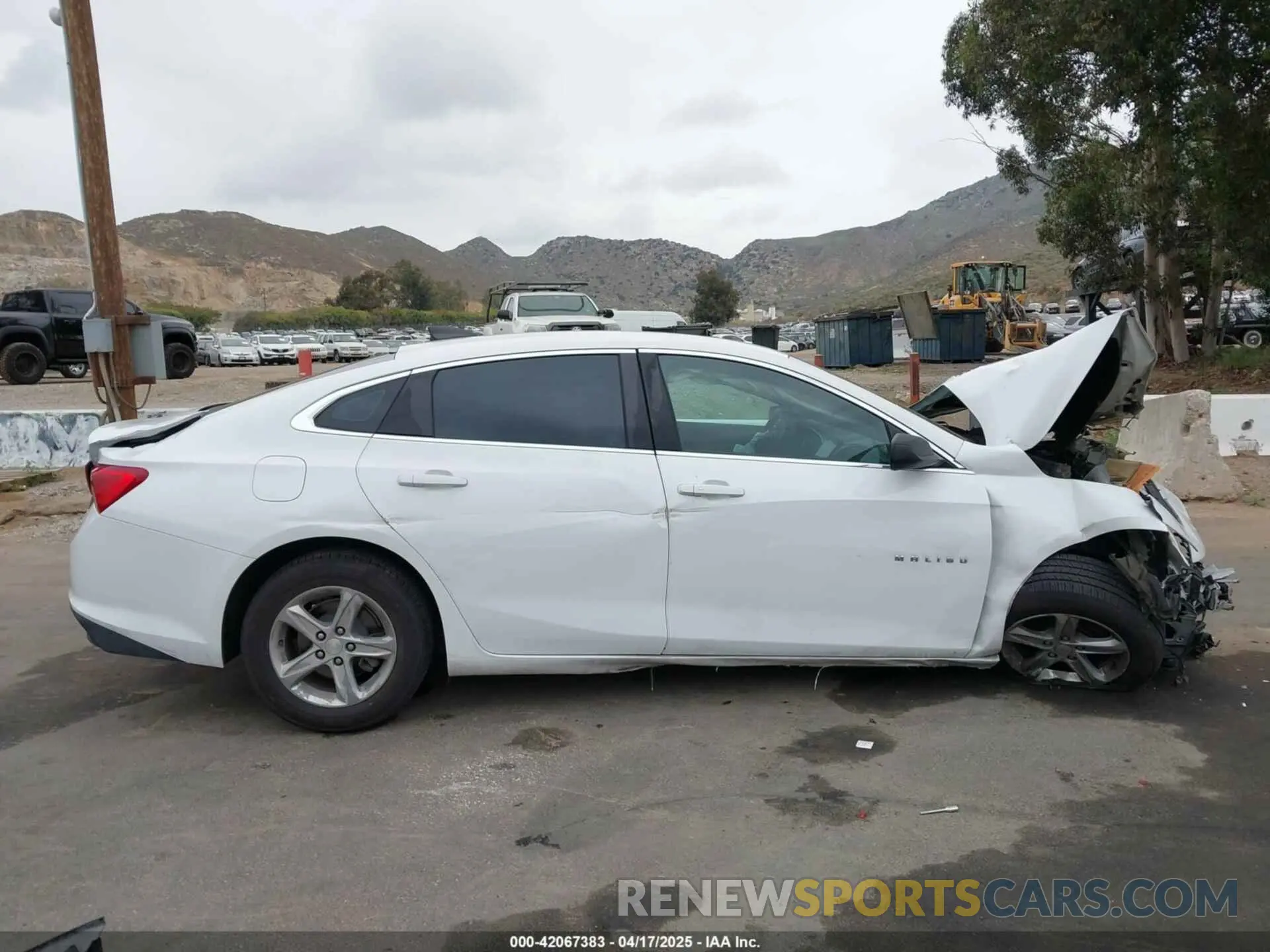14 Photograph of a damaged car 1G1ZB5STXKF220180 CHEVROLET MALIBU 2019