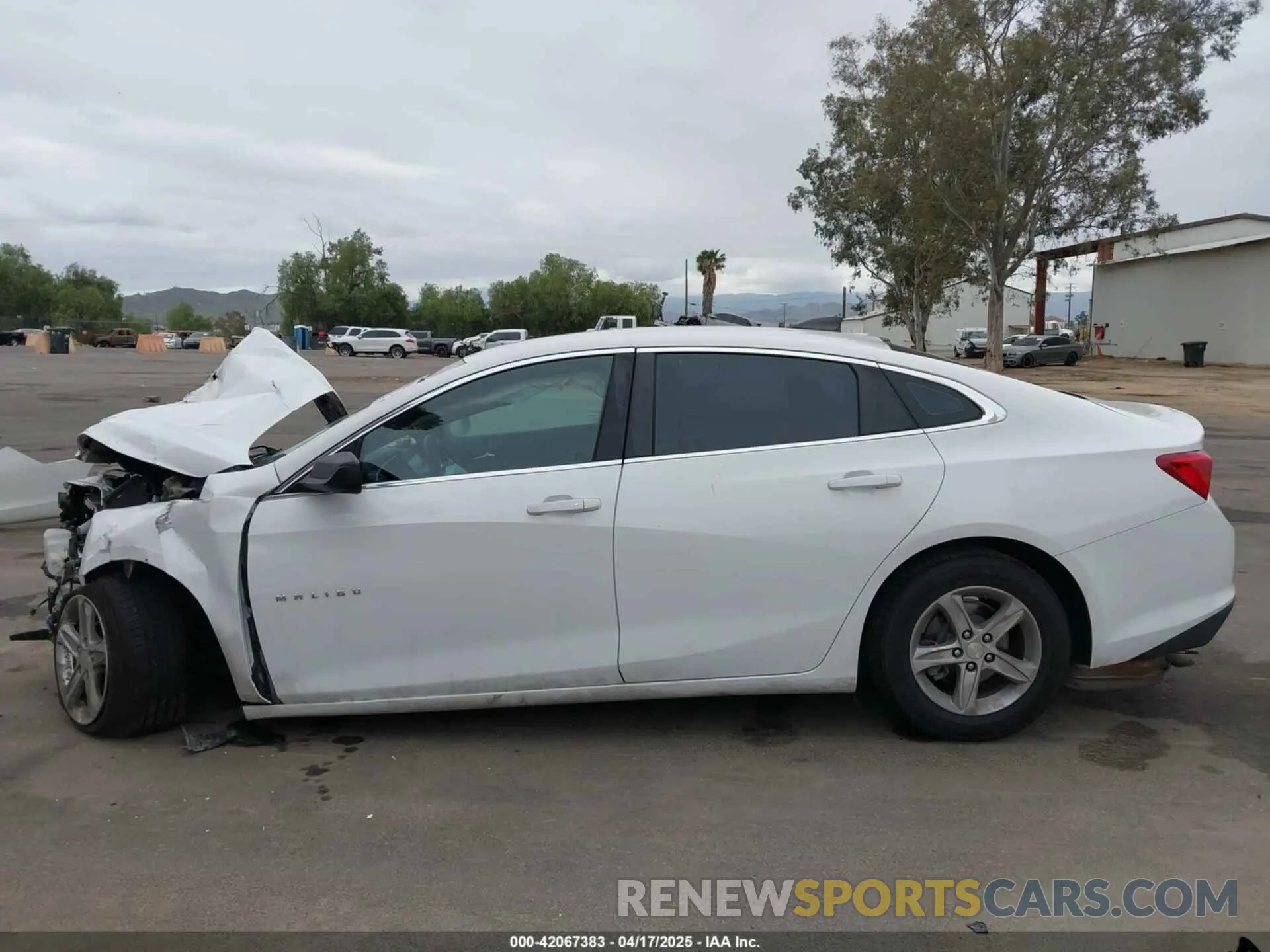 15 Photograph of a damaged car 1G1ZB5STXKF220180 CHEVROLET MALIBU 2019