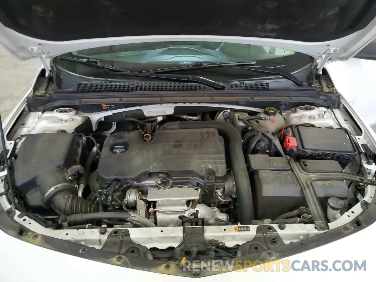 11 Photograph of a damaged car 1G1ZC5ST6KF161402 CHEVROLET MALIBU 2019