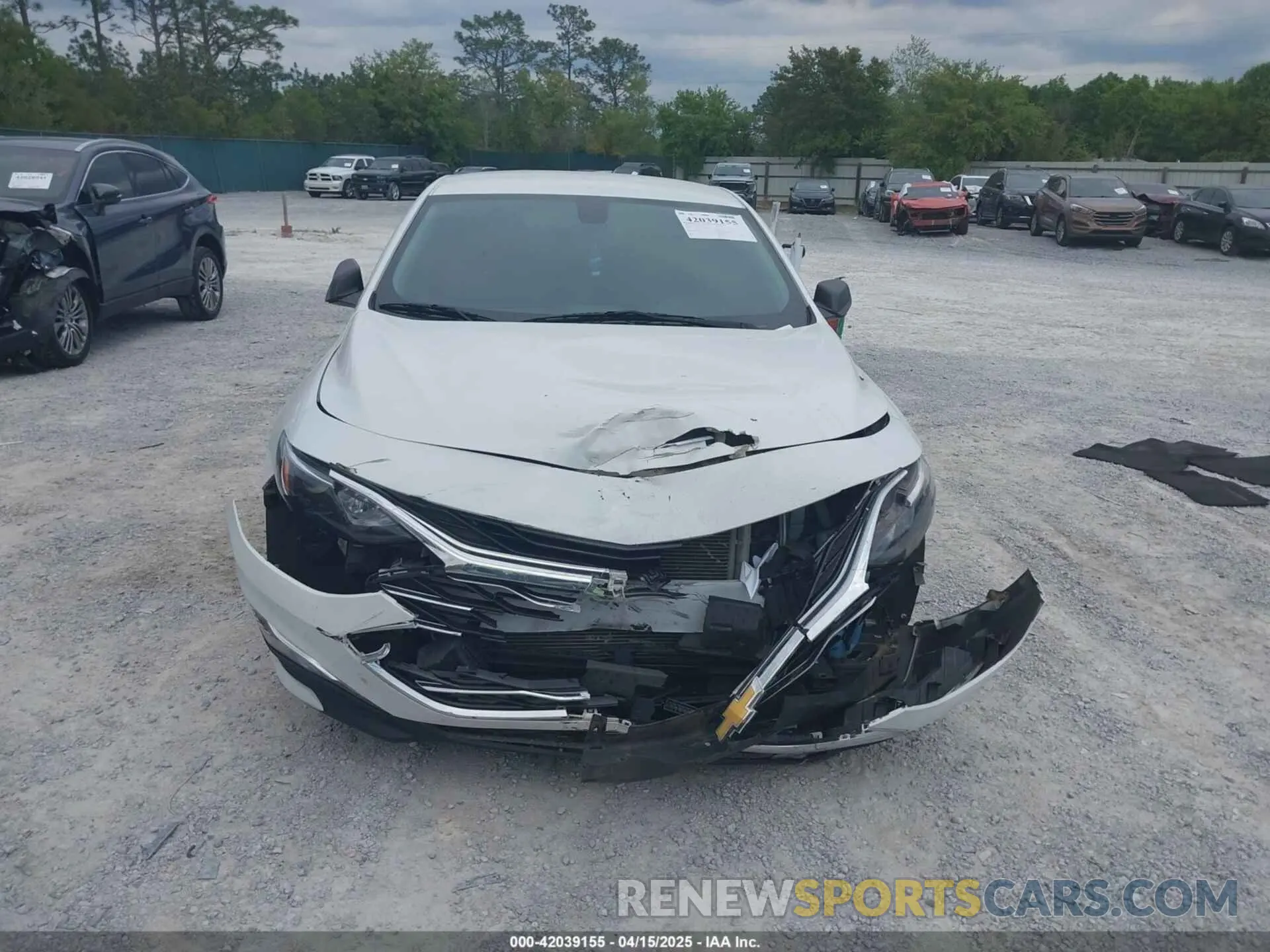12 Photograph of a damaged car 1G1ZC5ST6KF168222 CHEVROLET MALIBU 2019