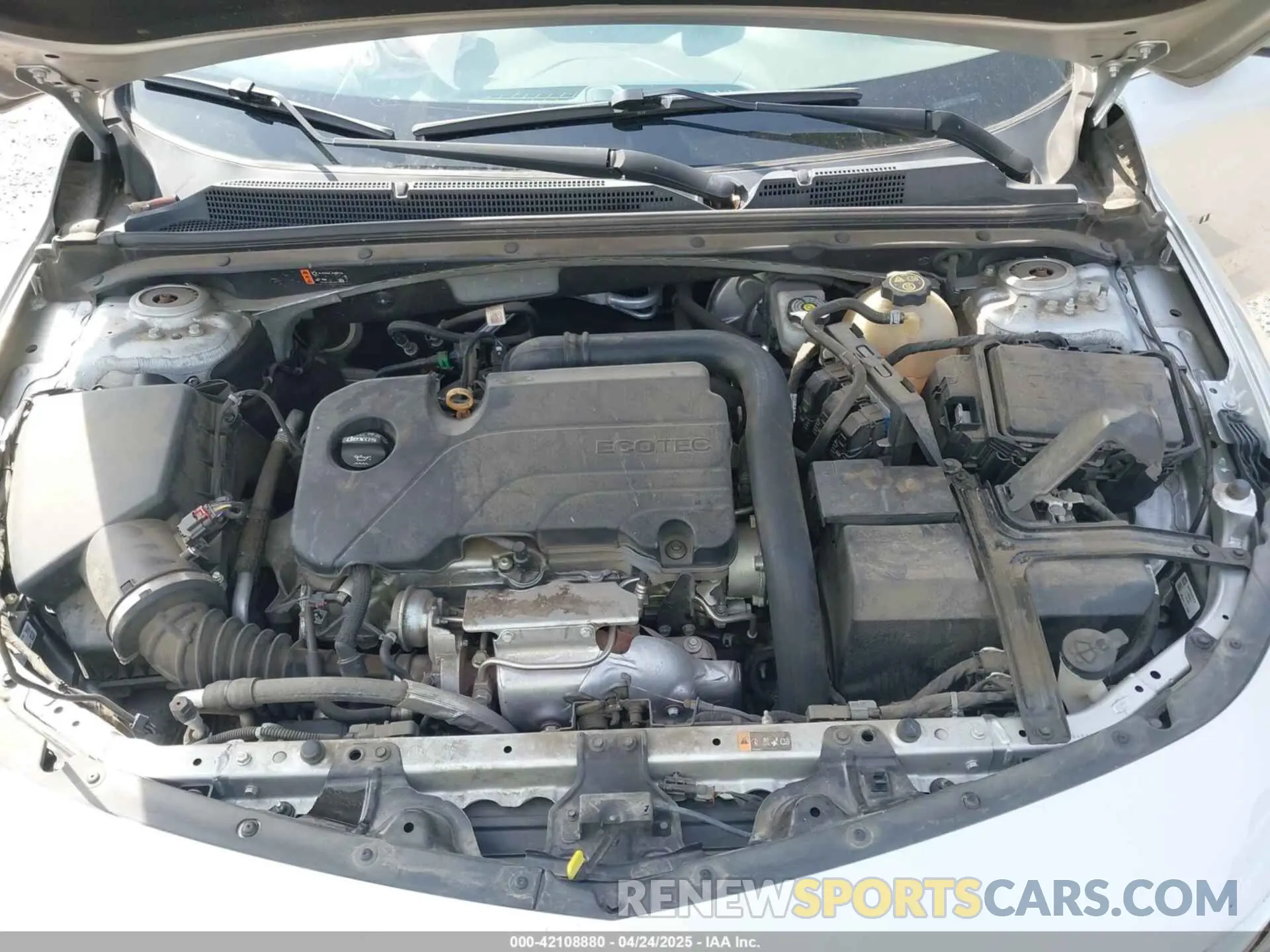 10 Photograph of a damaged car 1G1ZC5ST7KF184946 CHEVROLET MALIBU 2019