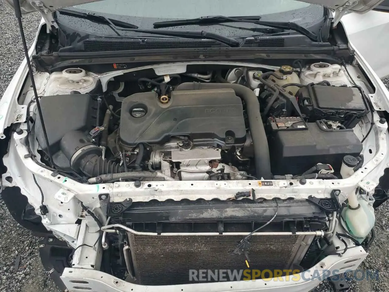 11 Photograph of a damaged car 1G1ZC5ST8KF182834 CHEVROLET MALIBU 2019